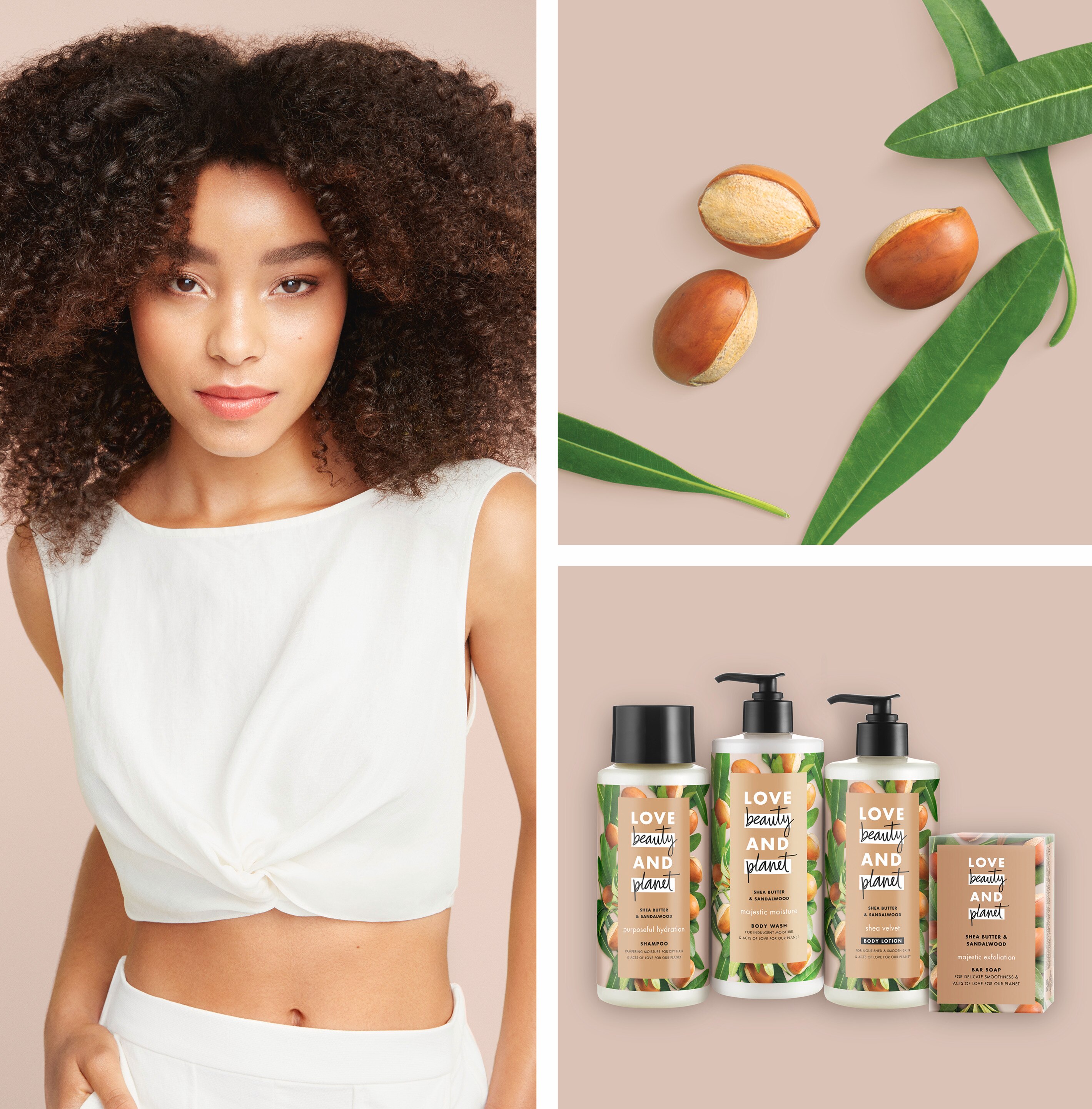 Shea Butter & Sandalwood Collection