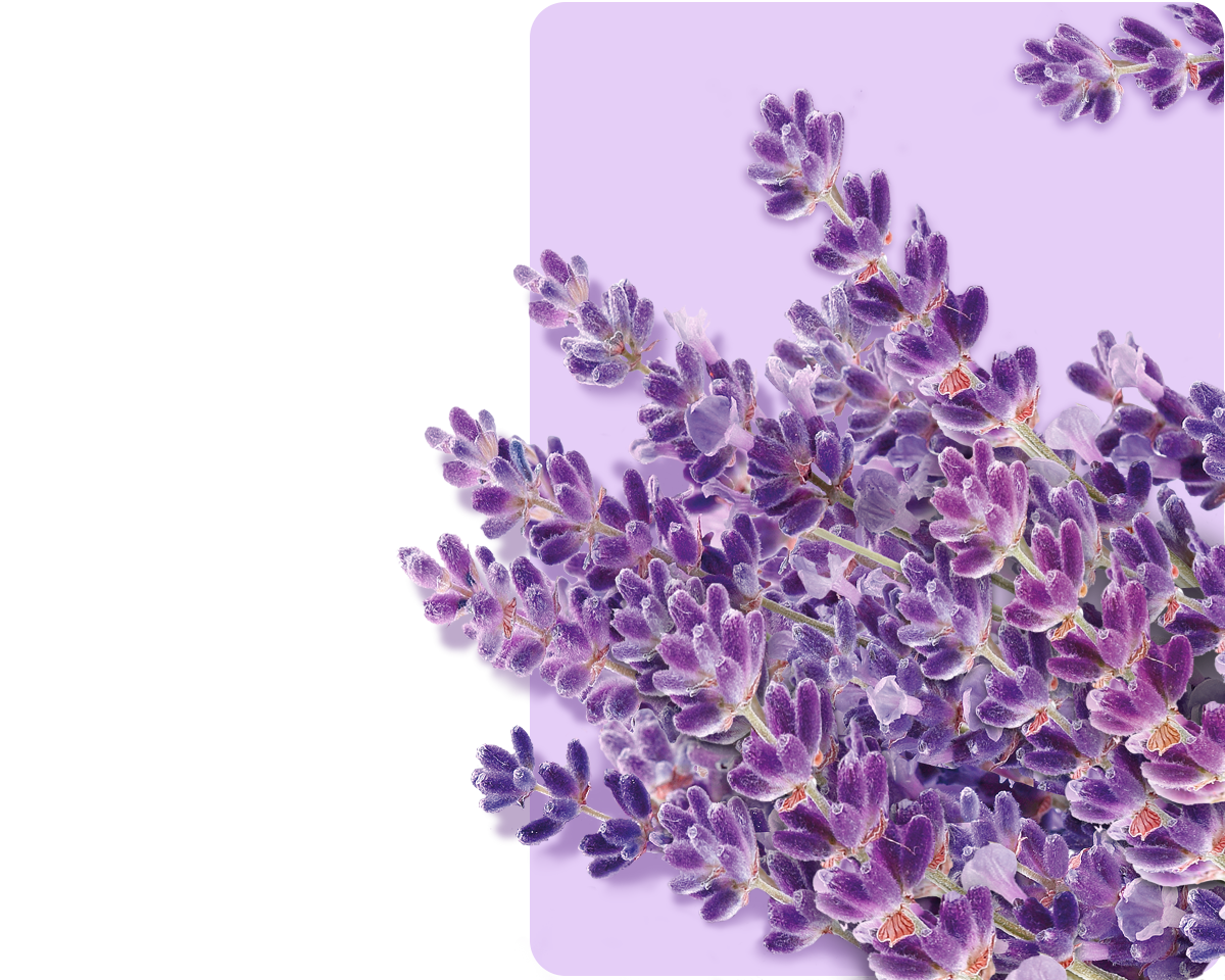 Lavender and Chamomile Tea