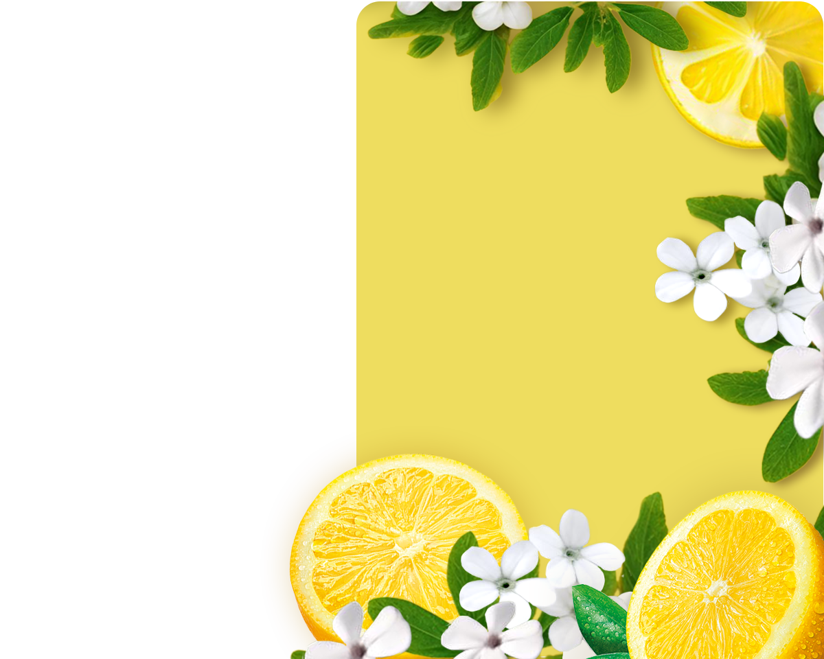 Lemon and White Verbena