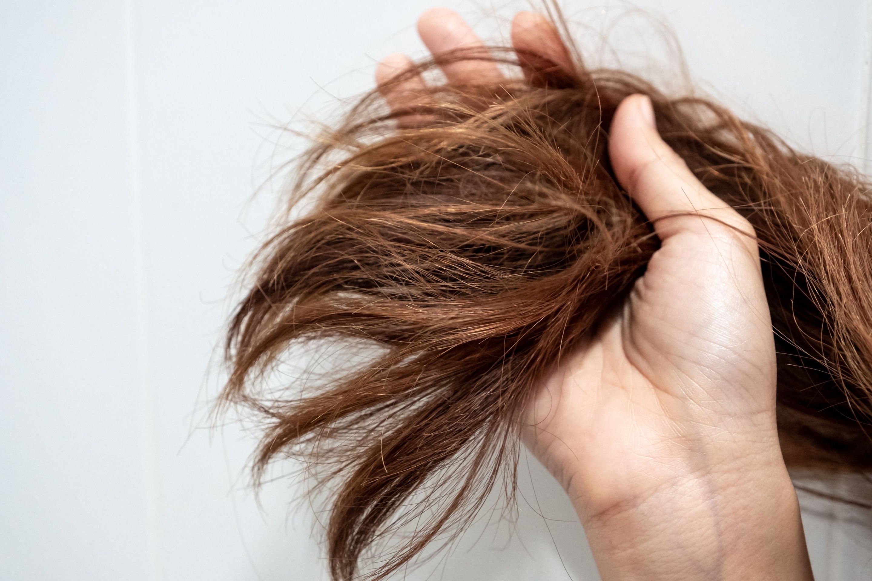 Mengatasi Rambut Mati: Tips untuk Menghidupkan Kembali Rambut yang ...
