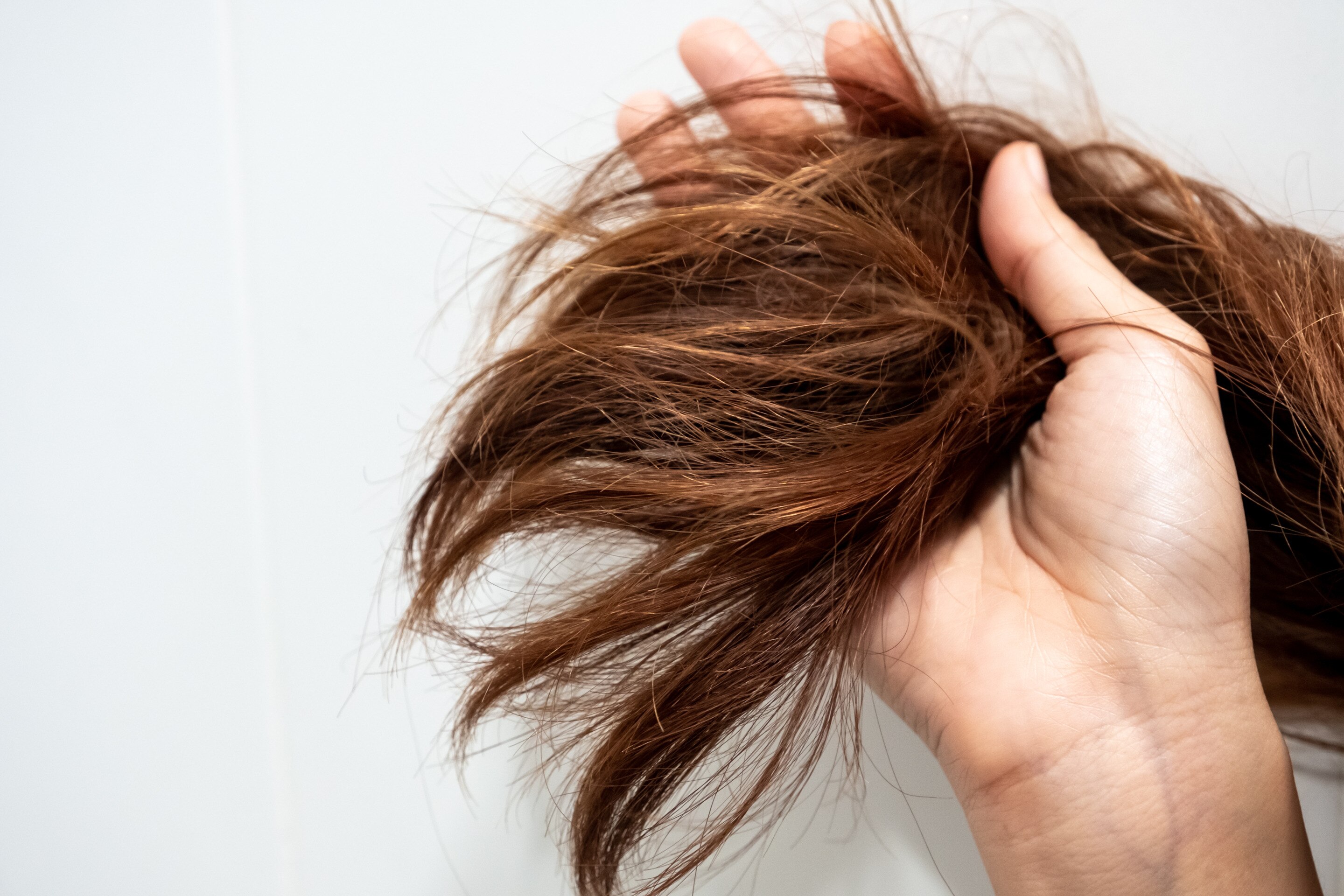 Bagaimana Jika Rambut Kekurangan Nutrisi