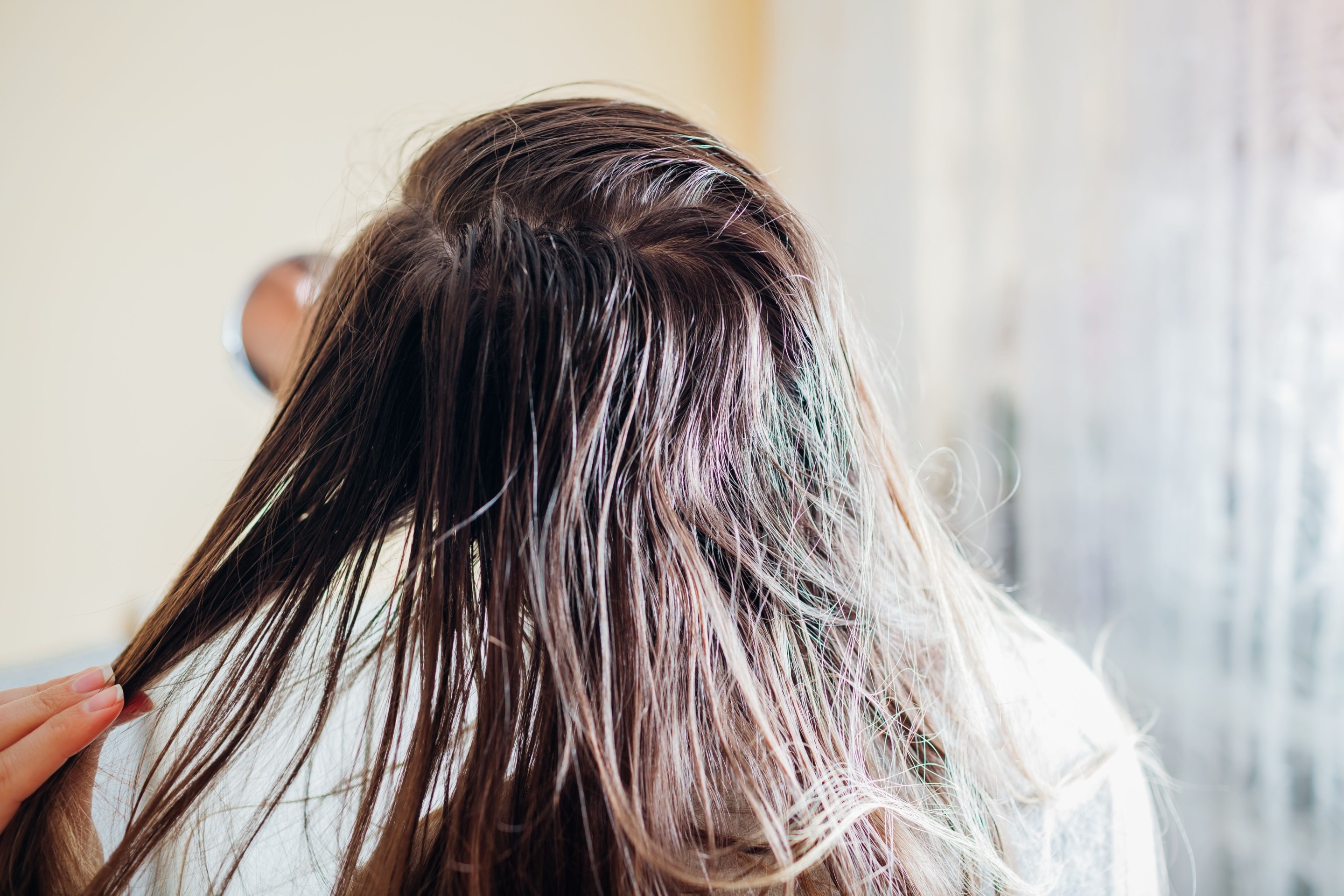 Penyebab Rambut Lepek Dan Cara Mengatasinya | Dove