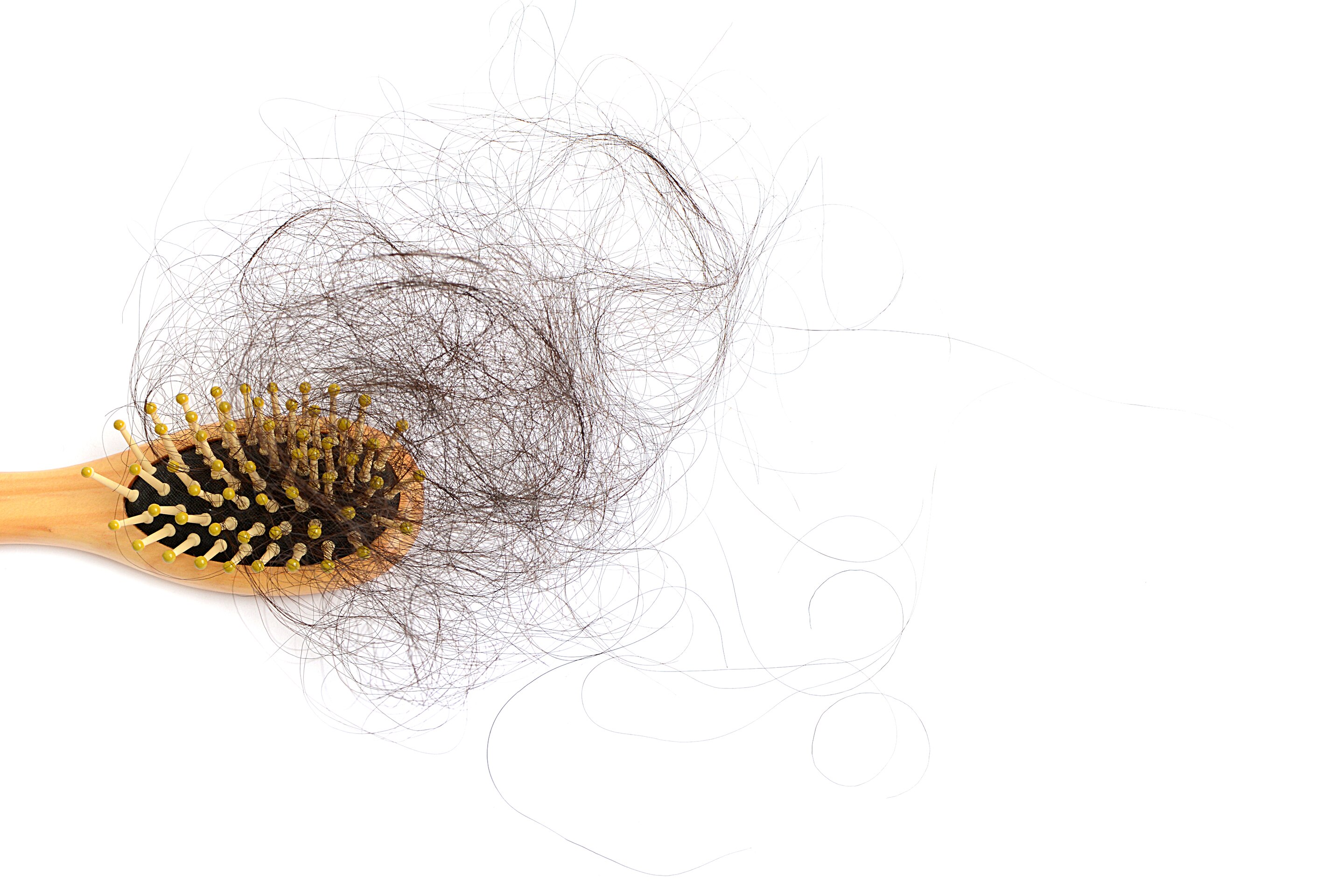 Apa Sampo untuk Rambut Rontok
