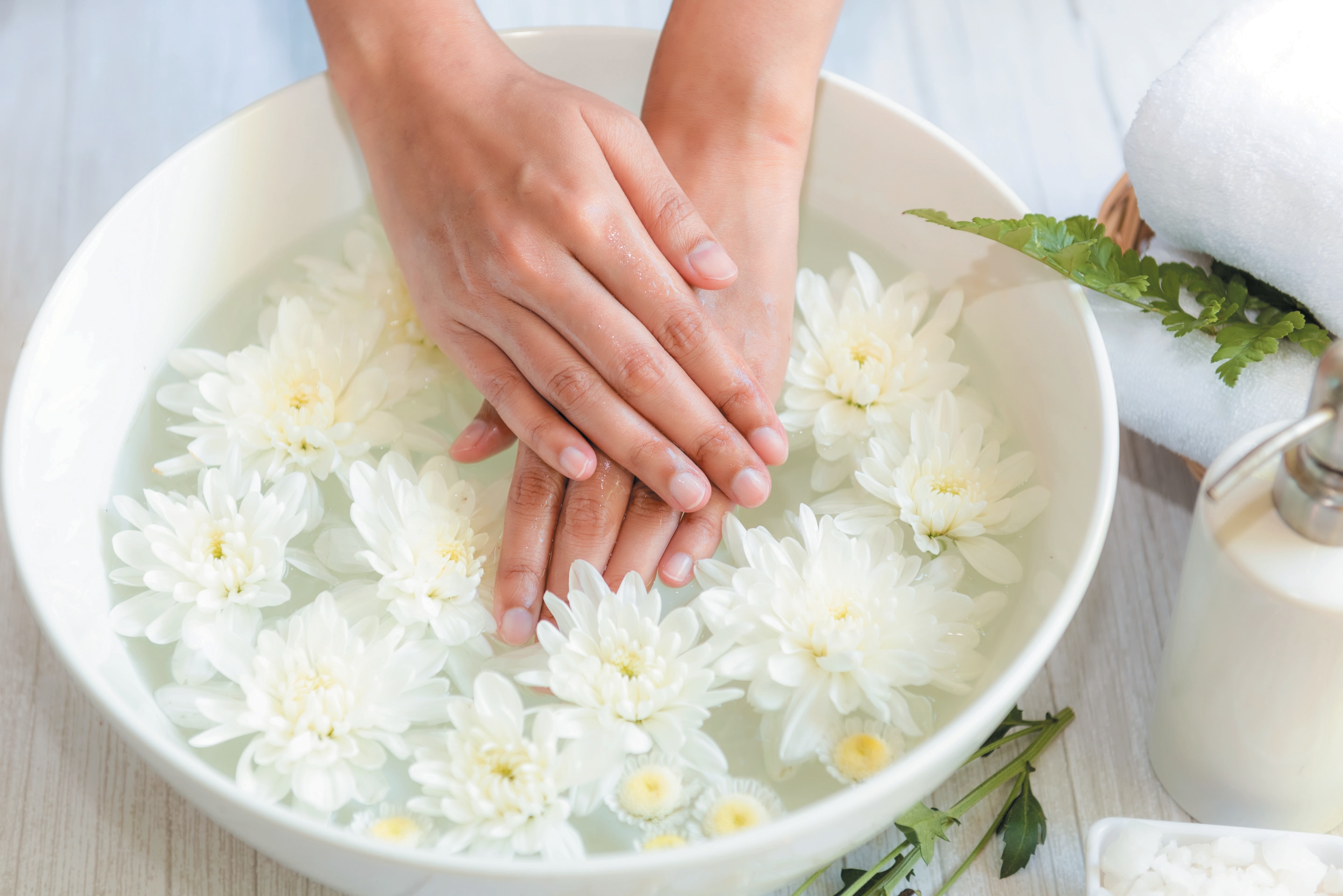 A pair of hands in a bowl of white flowers