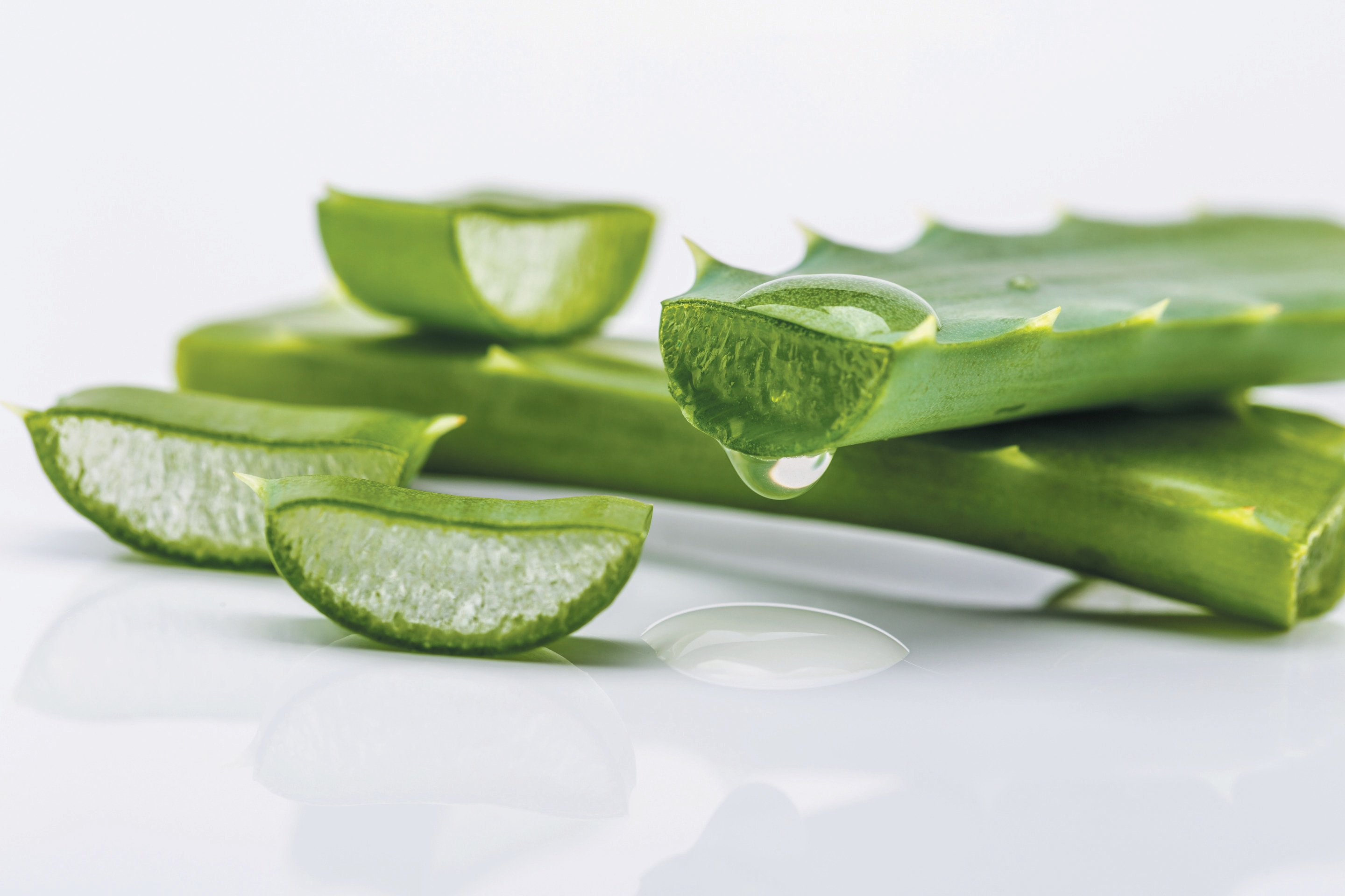 Sliced aloe vera on white background