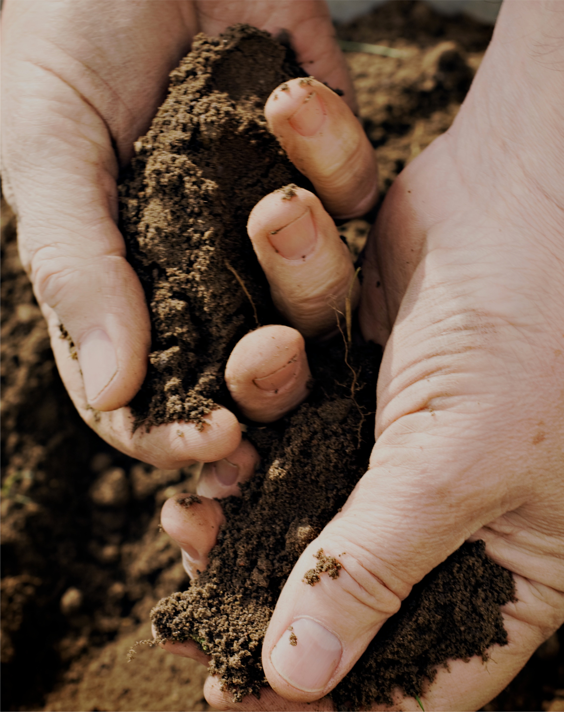 preview de imagen manos en la tierra