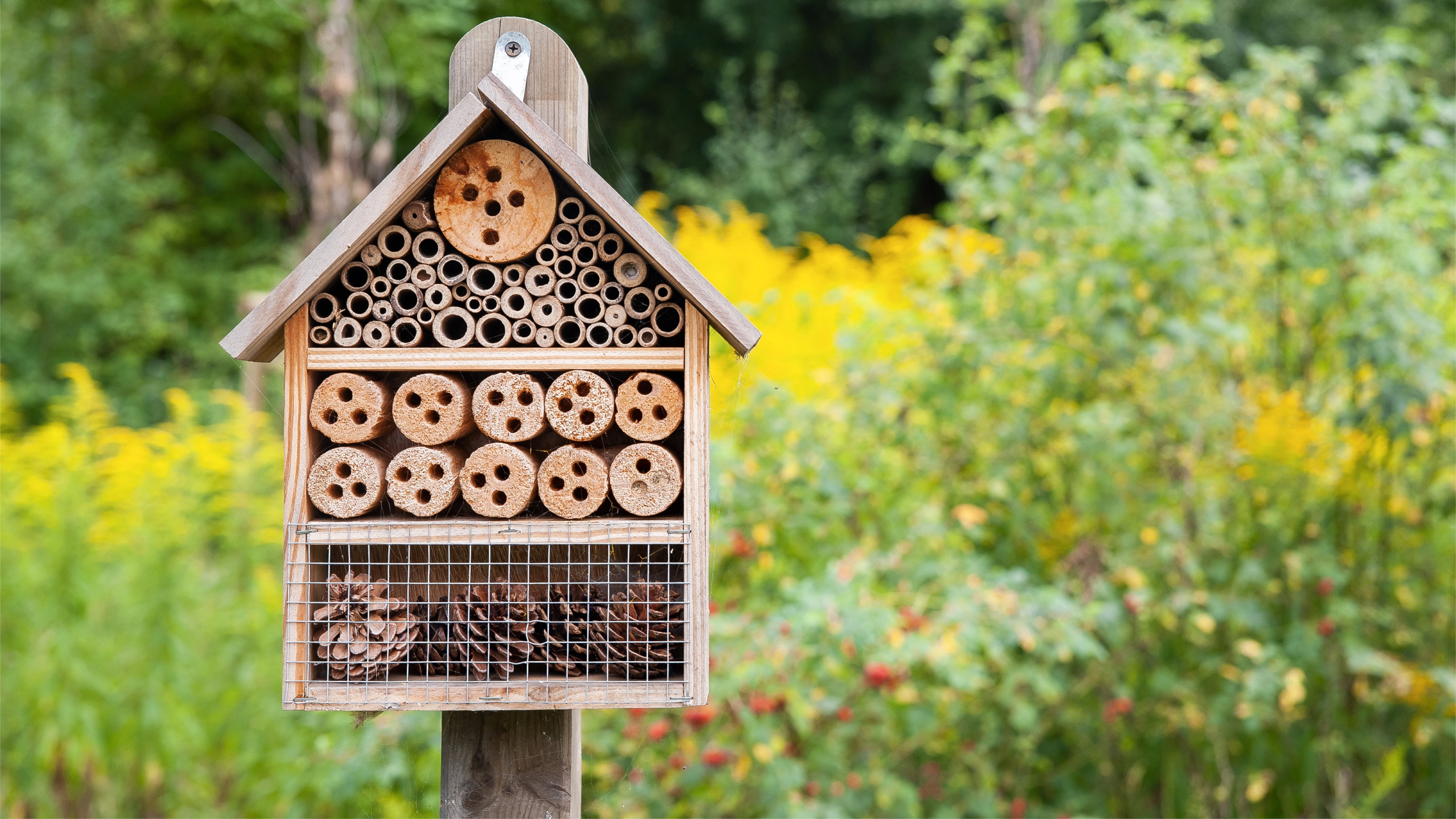 Armado de Hoteles de insectos