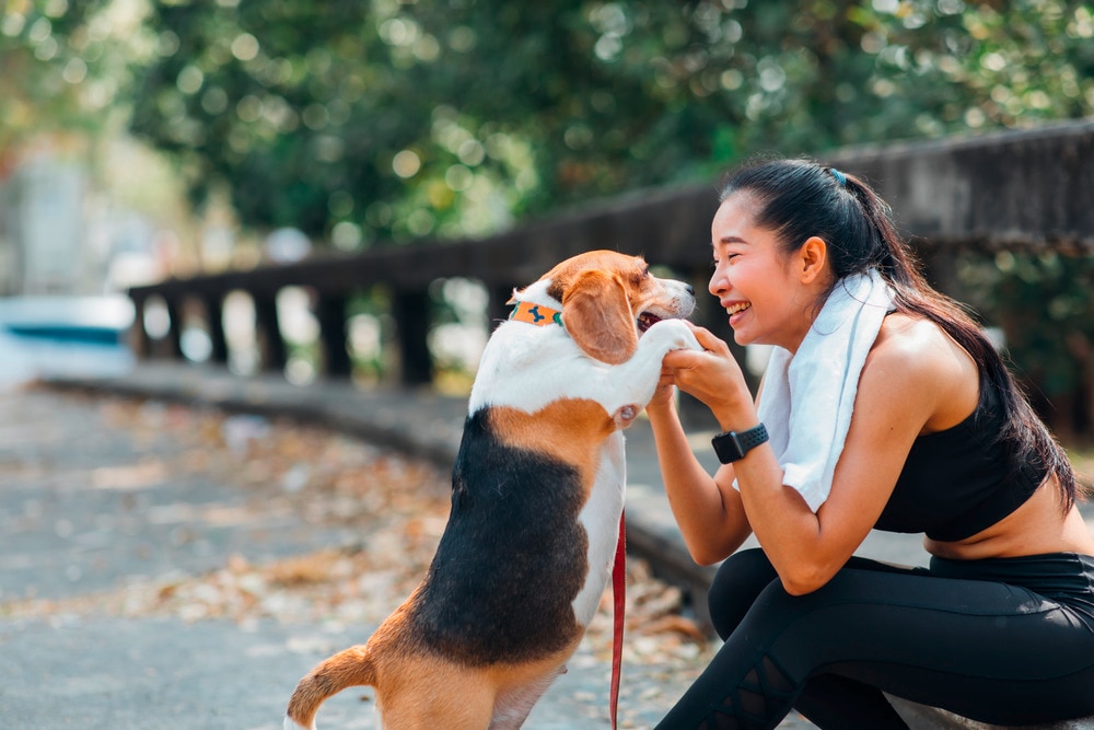 Woman playing with her dog during her morning run.