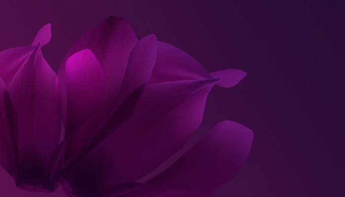 Our fight against everyday sexism