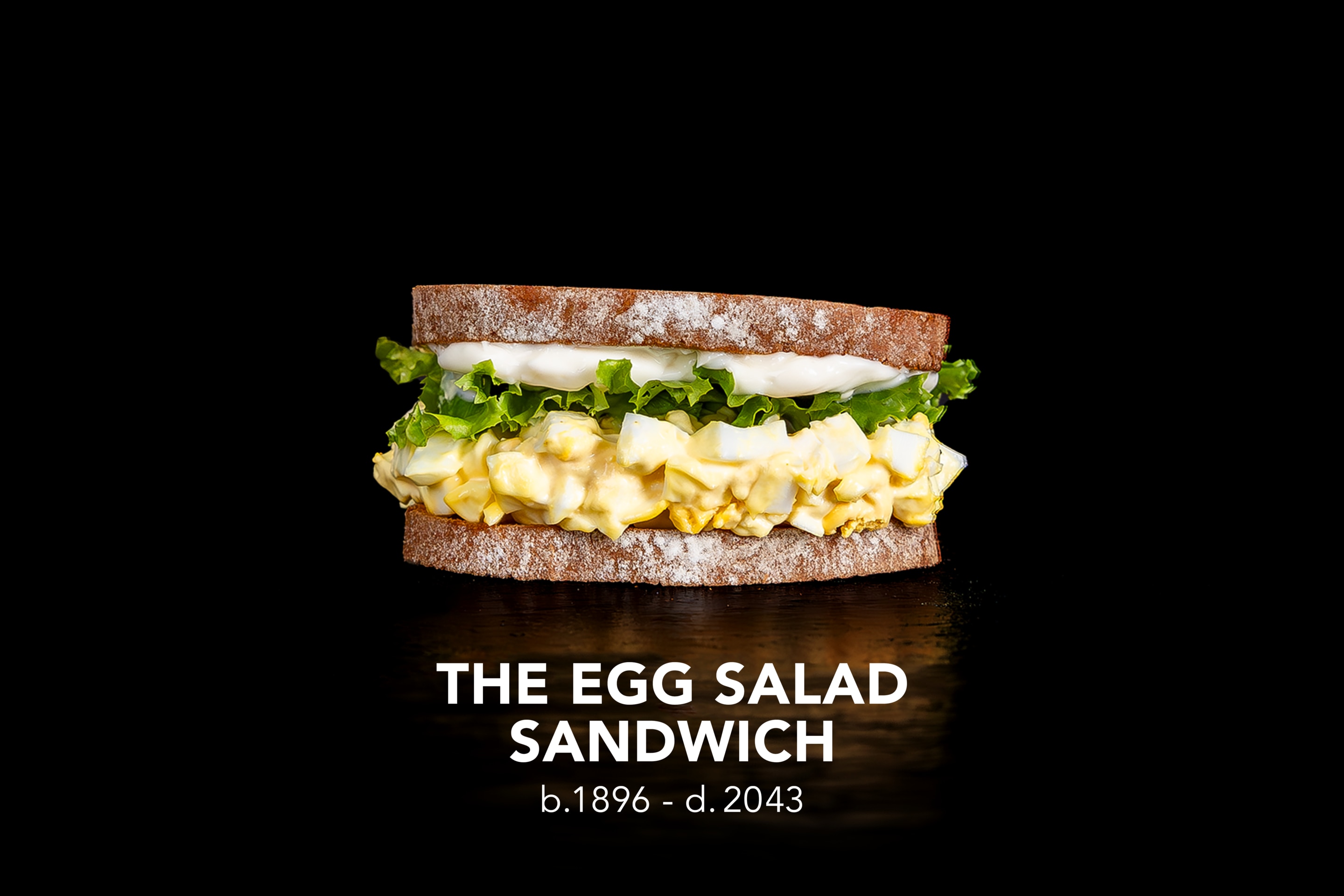 The Egg Salad Sandwich