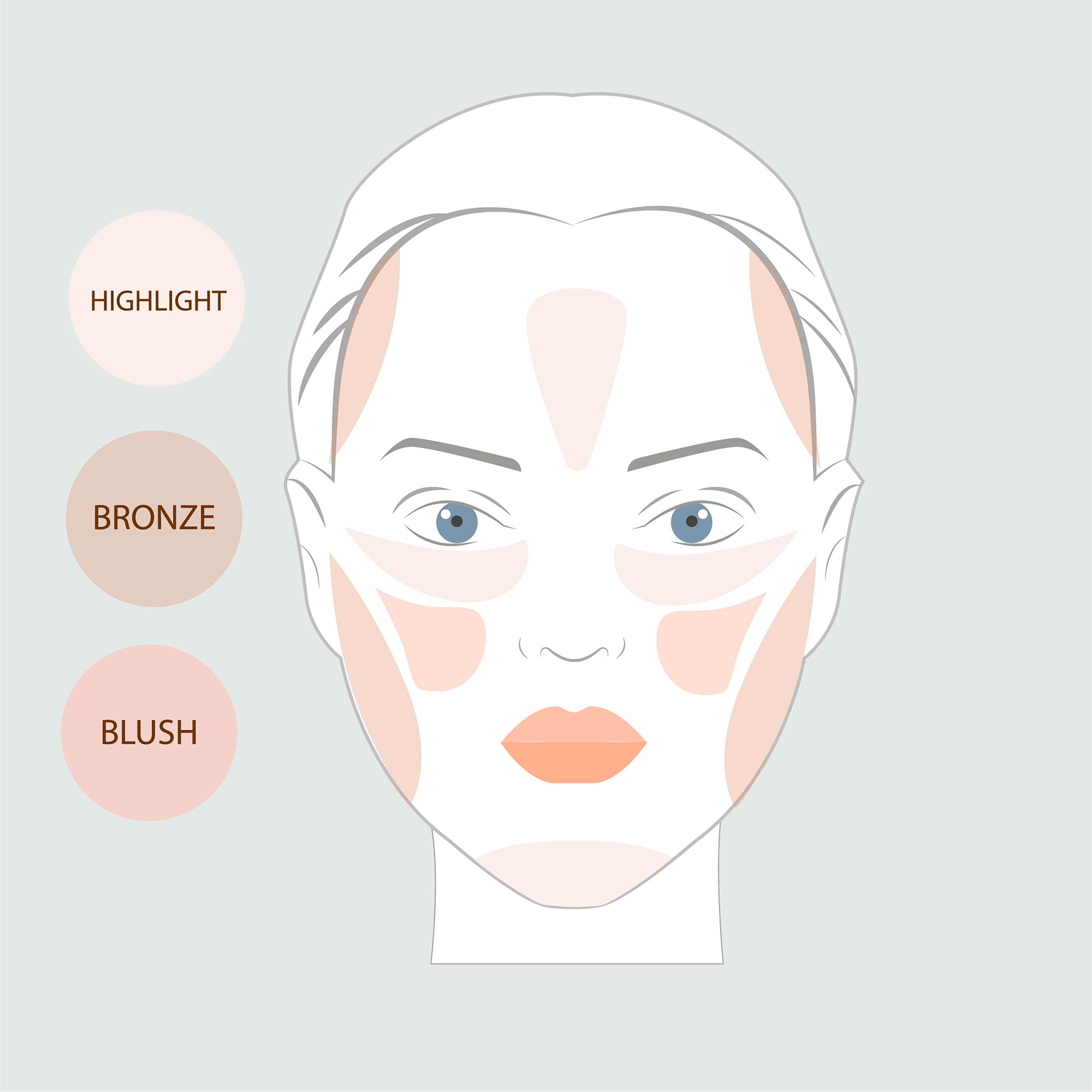 An image of face showing where to put bronzer.