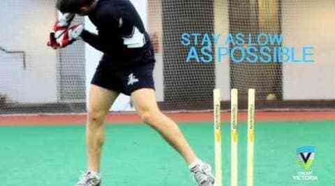 Standing up to the stumps