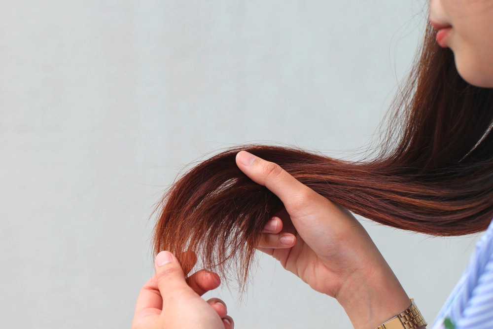 Closeup of a woman holding up her damaged hair.