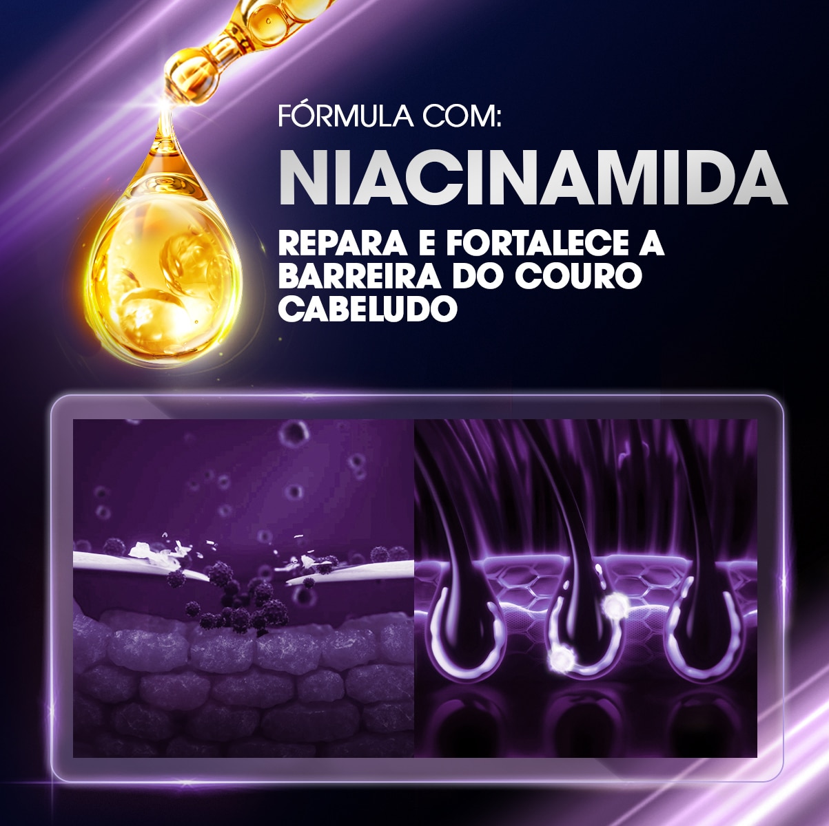 Shampoo Clear Hidratação Intensa Anticaspa