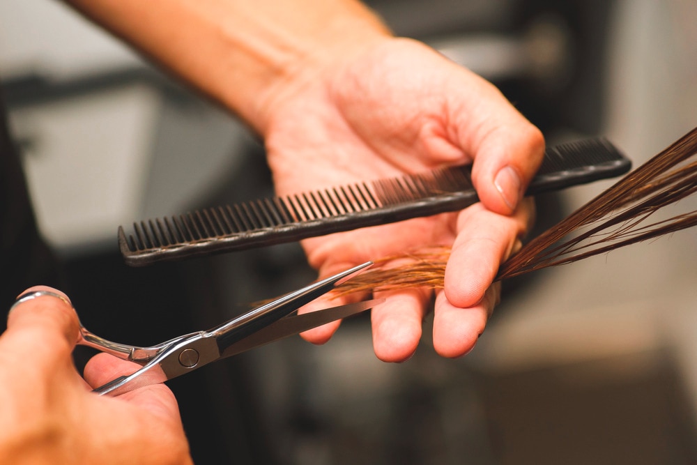 A portrait of a hairdresser cutting a woman’s hair with hair shears.