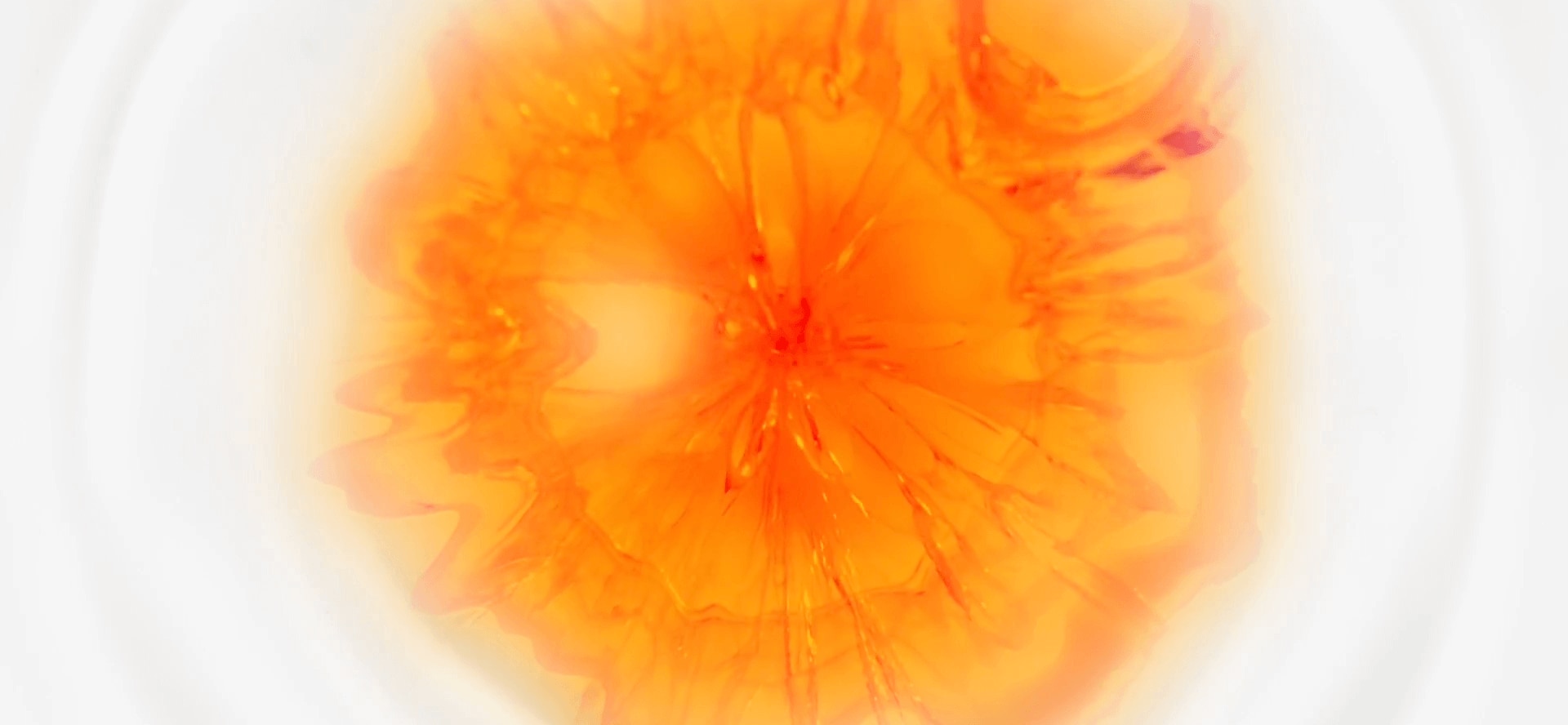 Experiência Sensorial