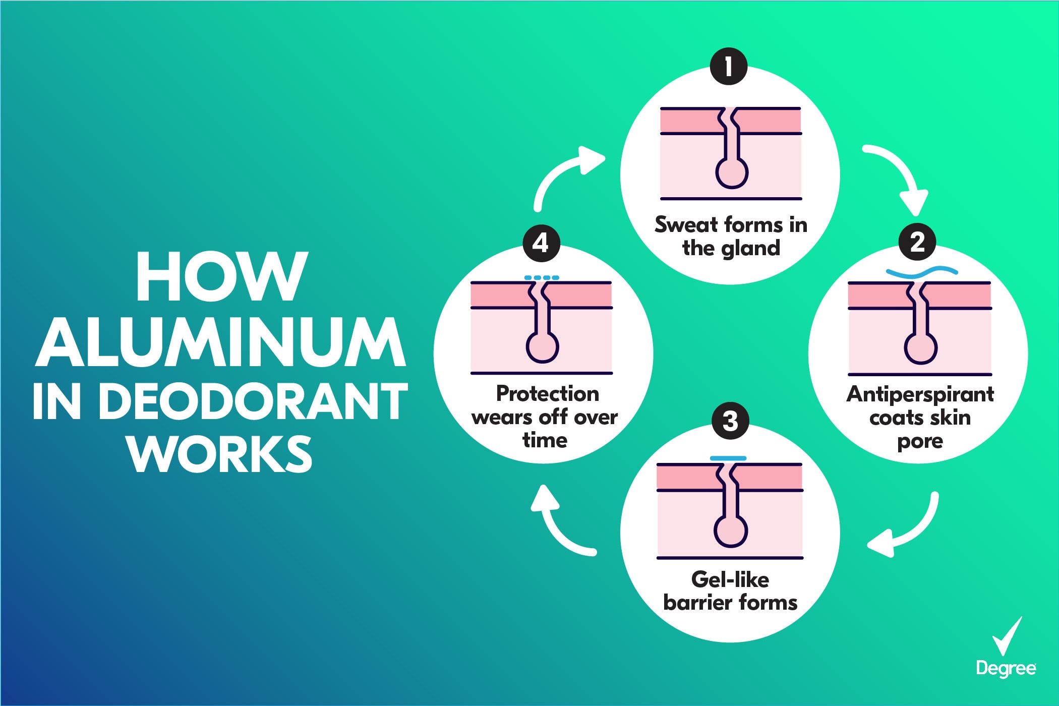 How aluminum in deodorant works infographic