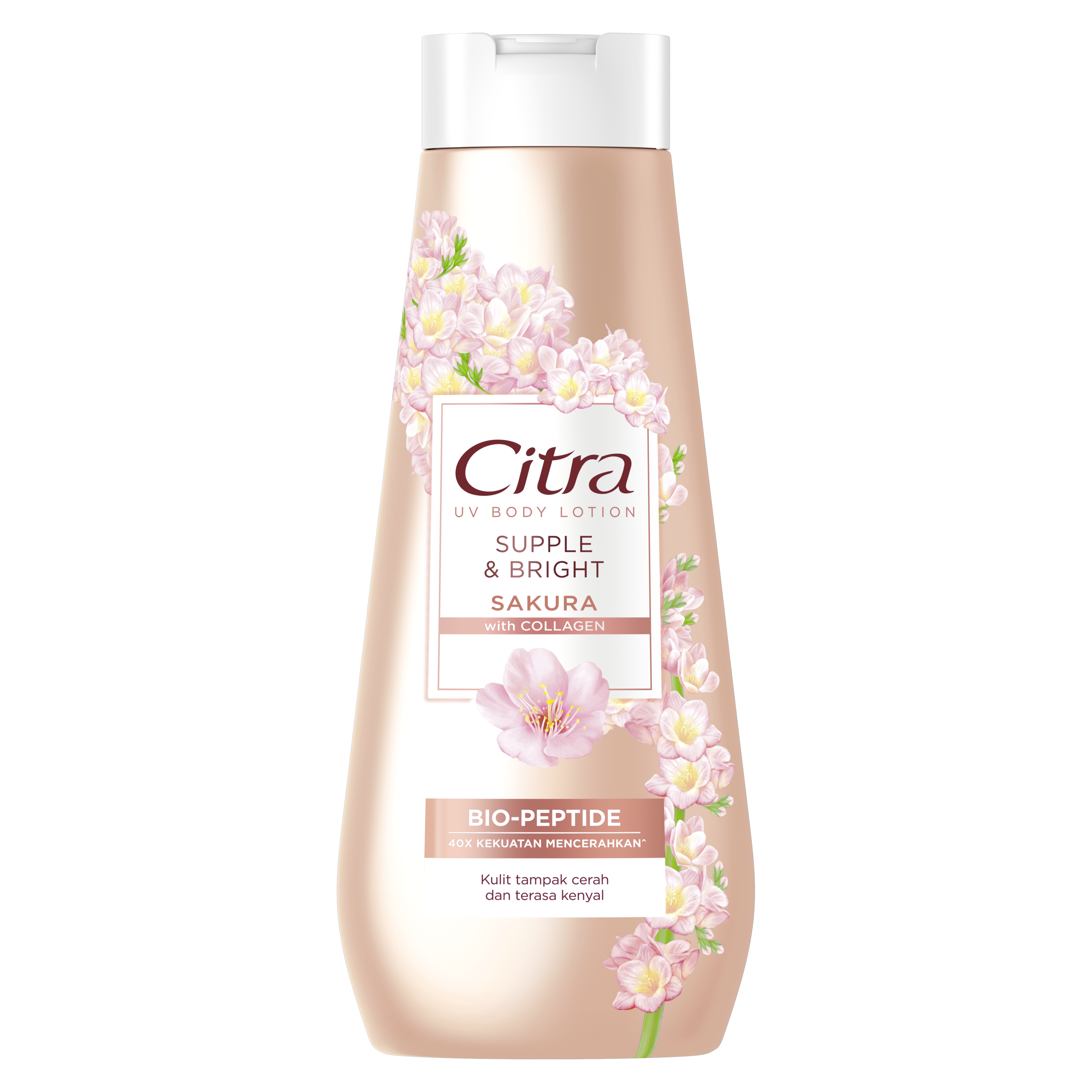 Citra Supple & Bright Sakura 210ml