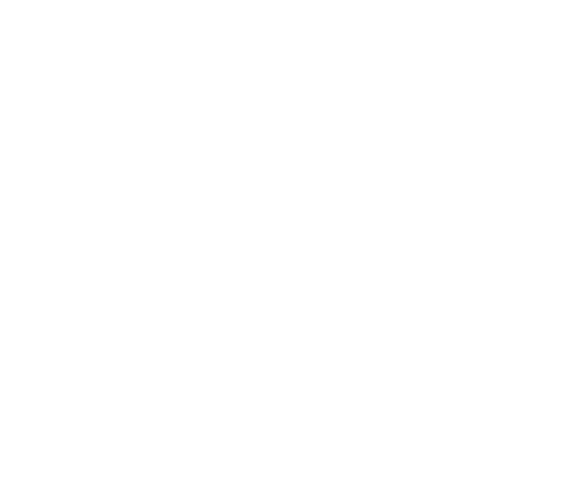 Sunsilk Logo