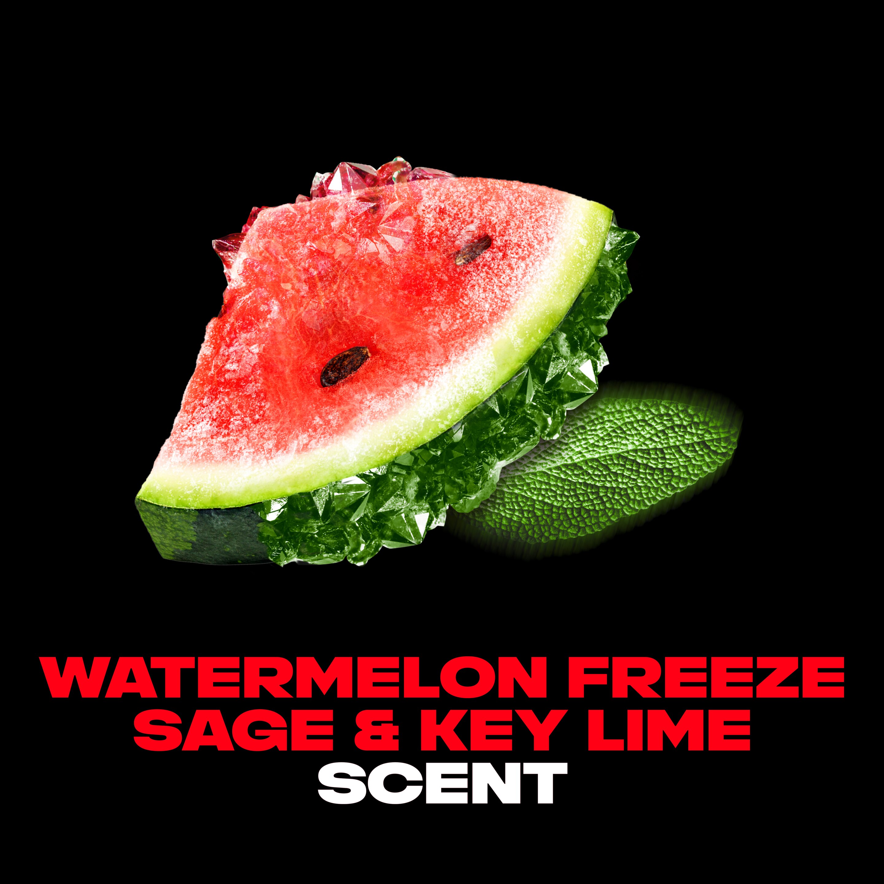 Watermelon Freeze Premium Deodorant Stick