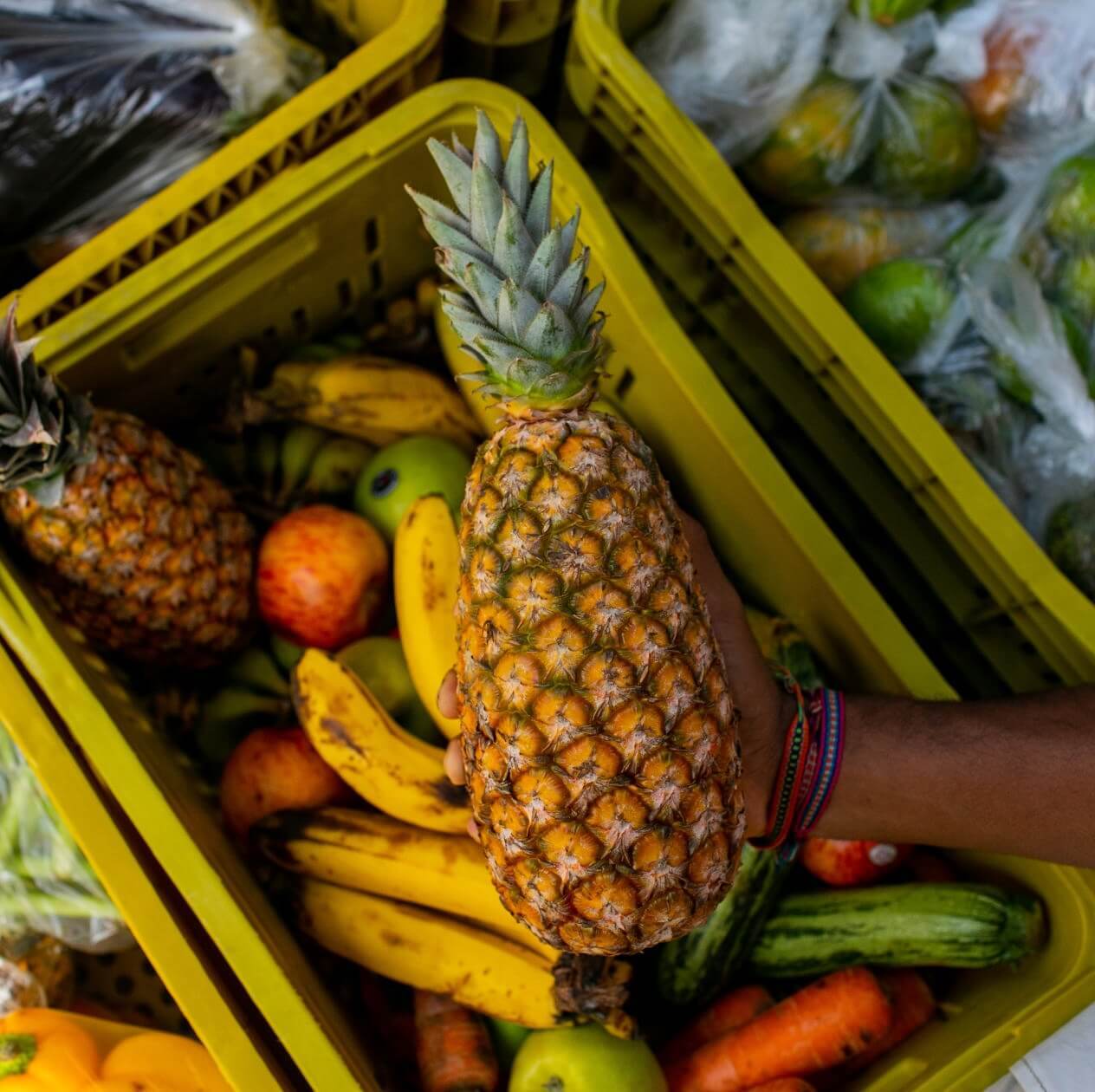 Food Recovery Network Logo