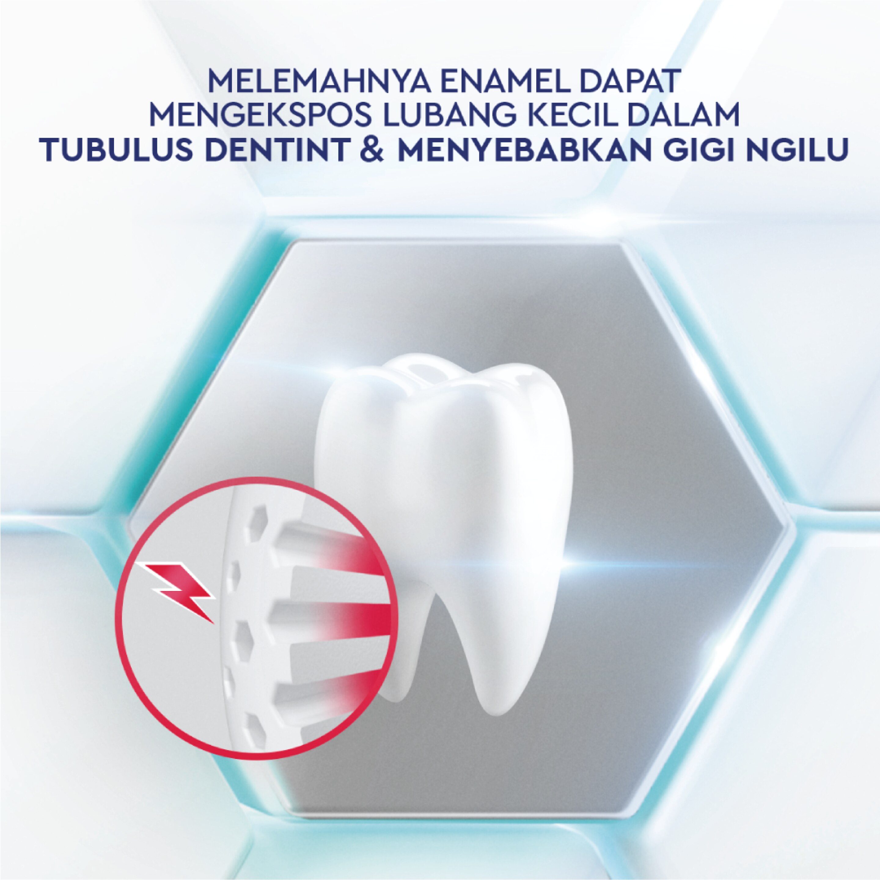 supplementary pack 3