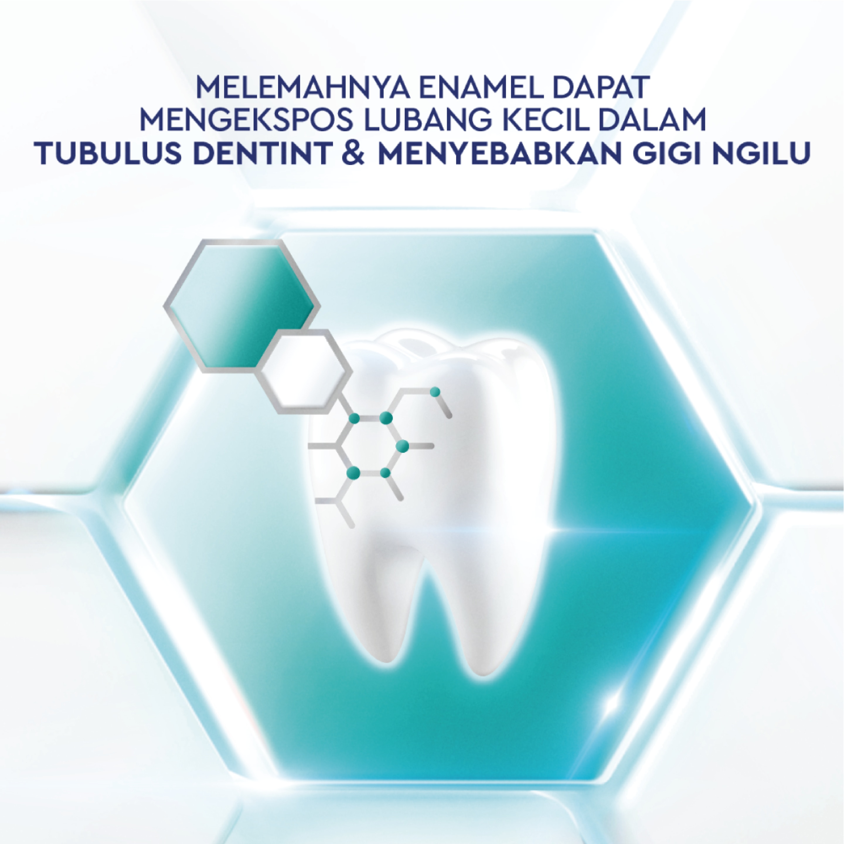 supplementary pack 3