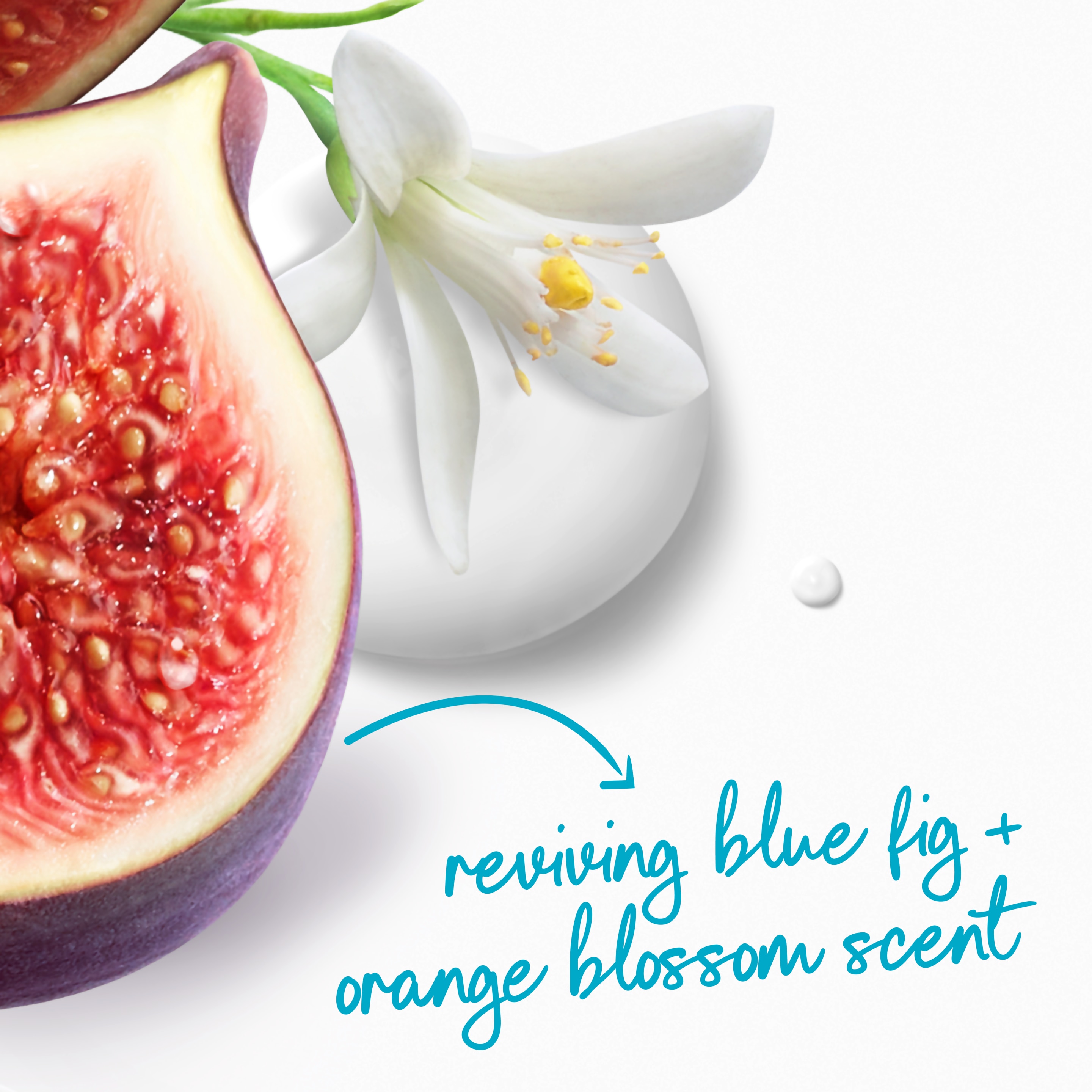 Revive Body Wash