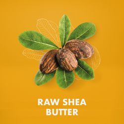 Experience deep moisture and replenishment with raw shea butter products from SheaMoisture, including shampoo, conditioner, lotion and soap.