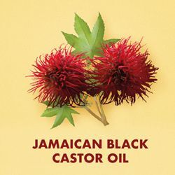 Discover the powerfully restorative and strengthening effects of Jamaican black castor oil when you shop for hair, skin and bath products at SheaMoisture.