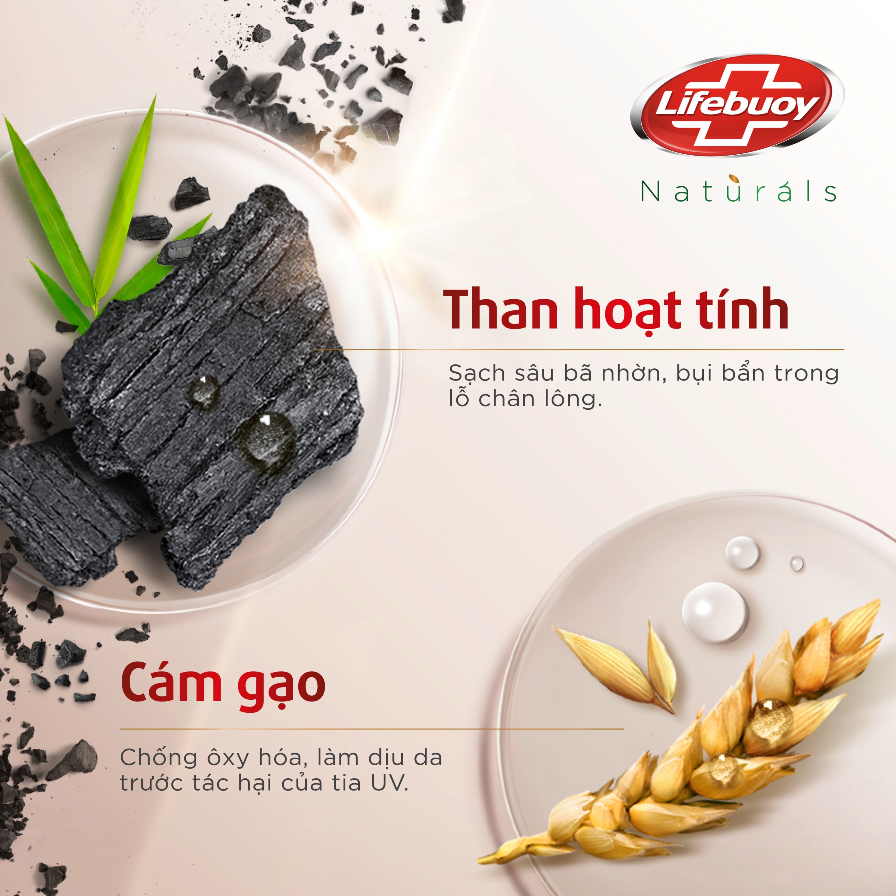 Sữa tắm Lifebuoy Sạch Bã Nhờn Than hoạt tính & Cám gạo (Chai)