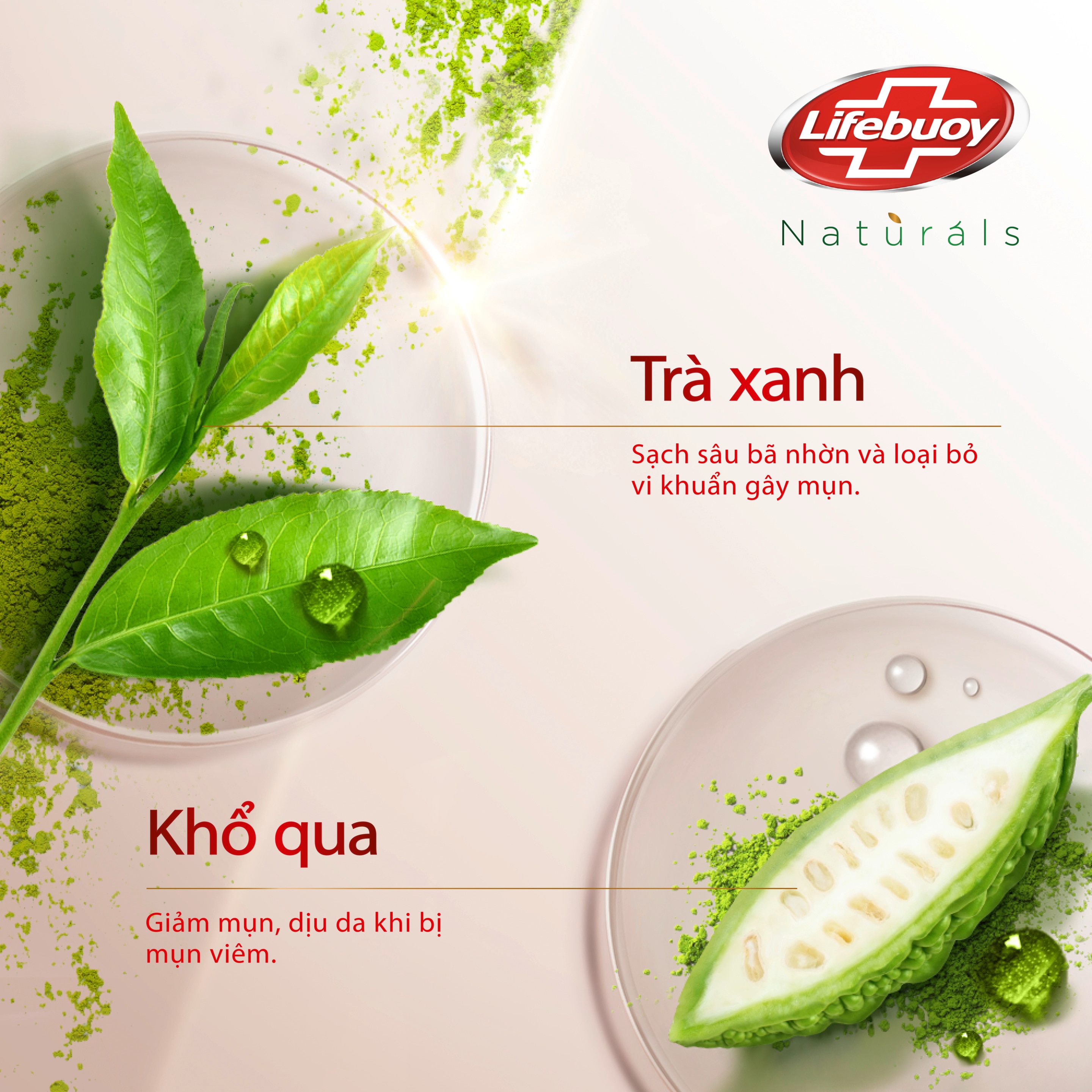 Sữa tắm Lifebuoy Giảm Mụn Matcha & Khổ Qua (Chai)