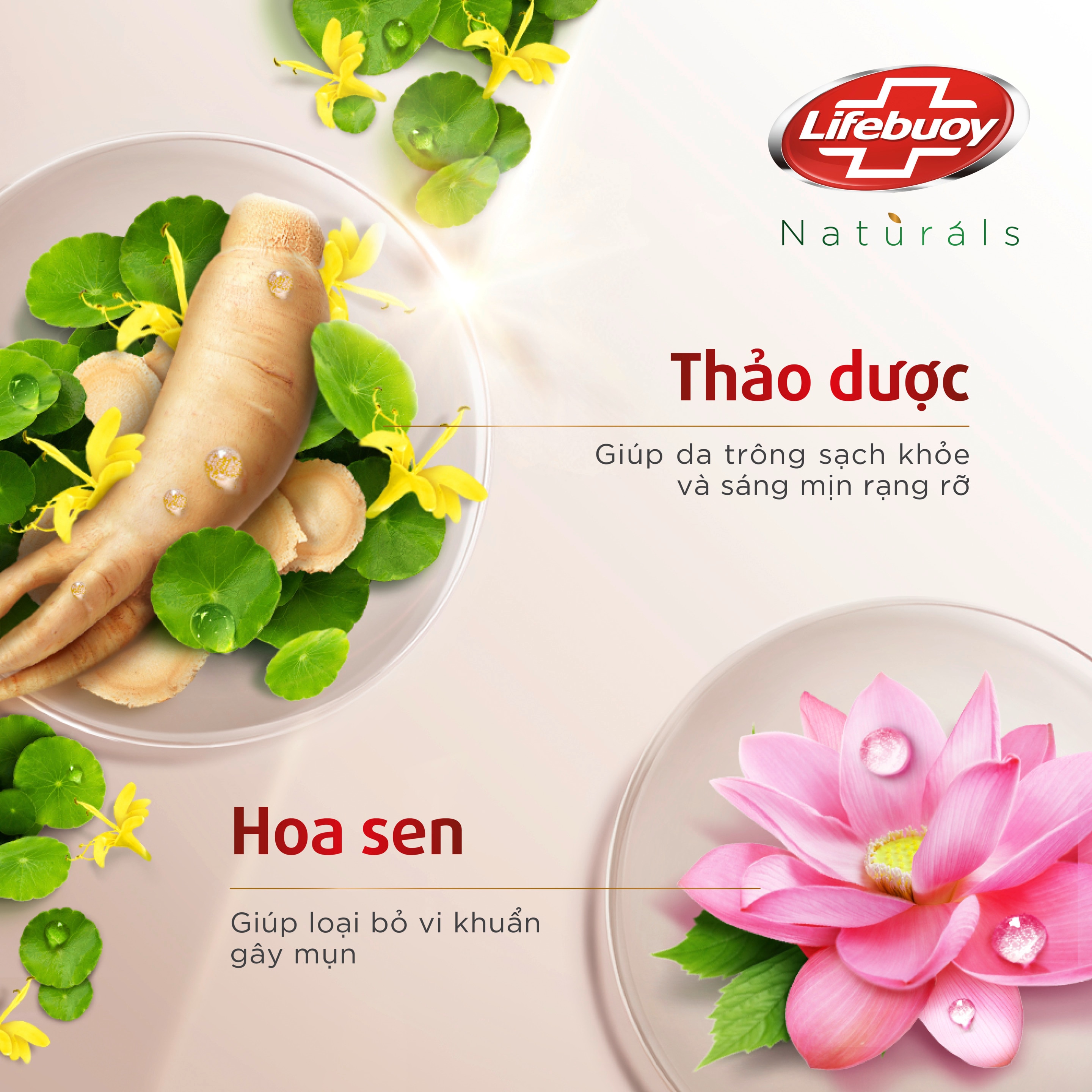 Sữa tắm Lifebuoy Sáng Da Thảo Dược & Hoa Sen (Chai)