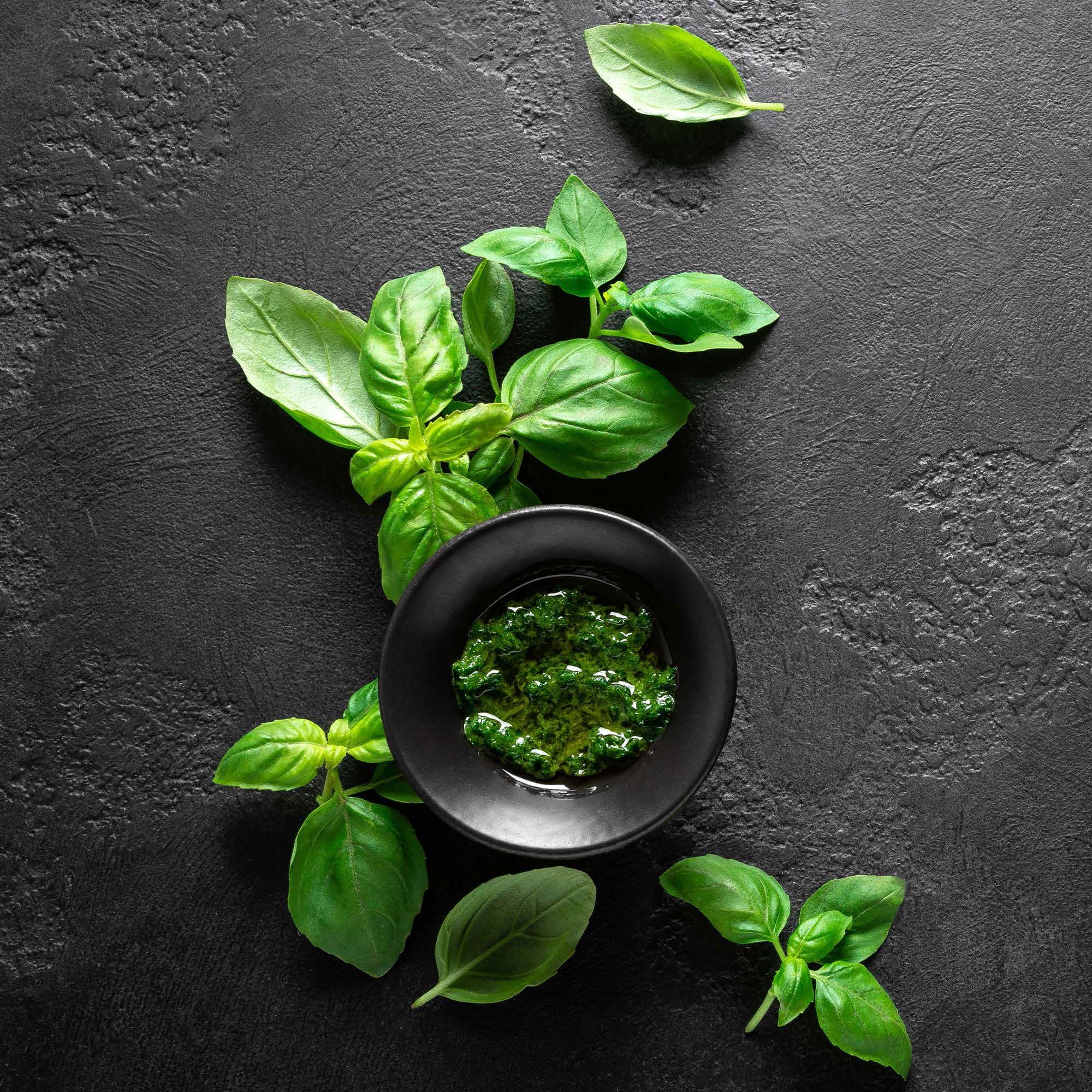 Basil pesto