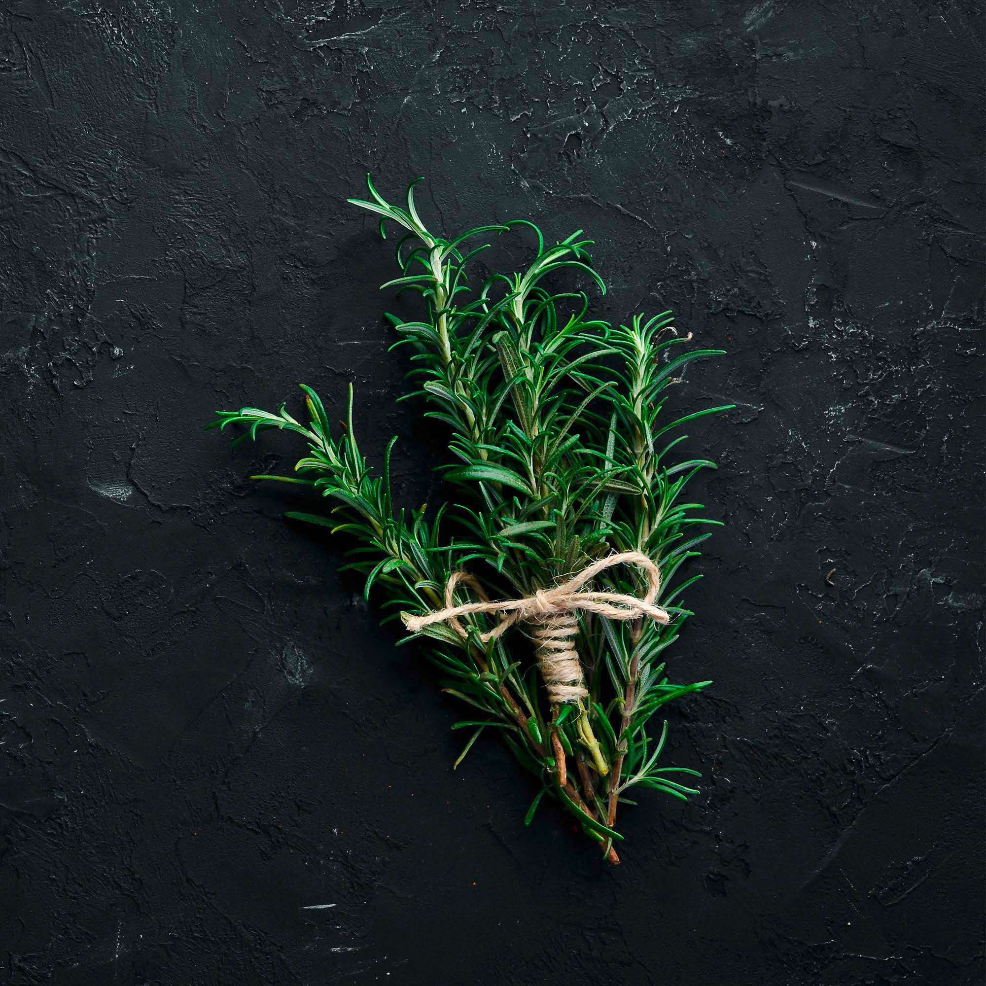 Rosemary on black stone