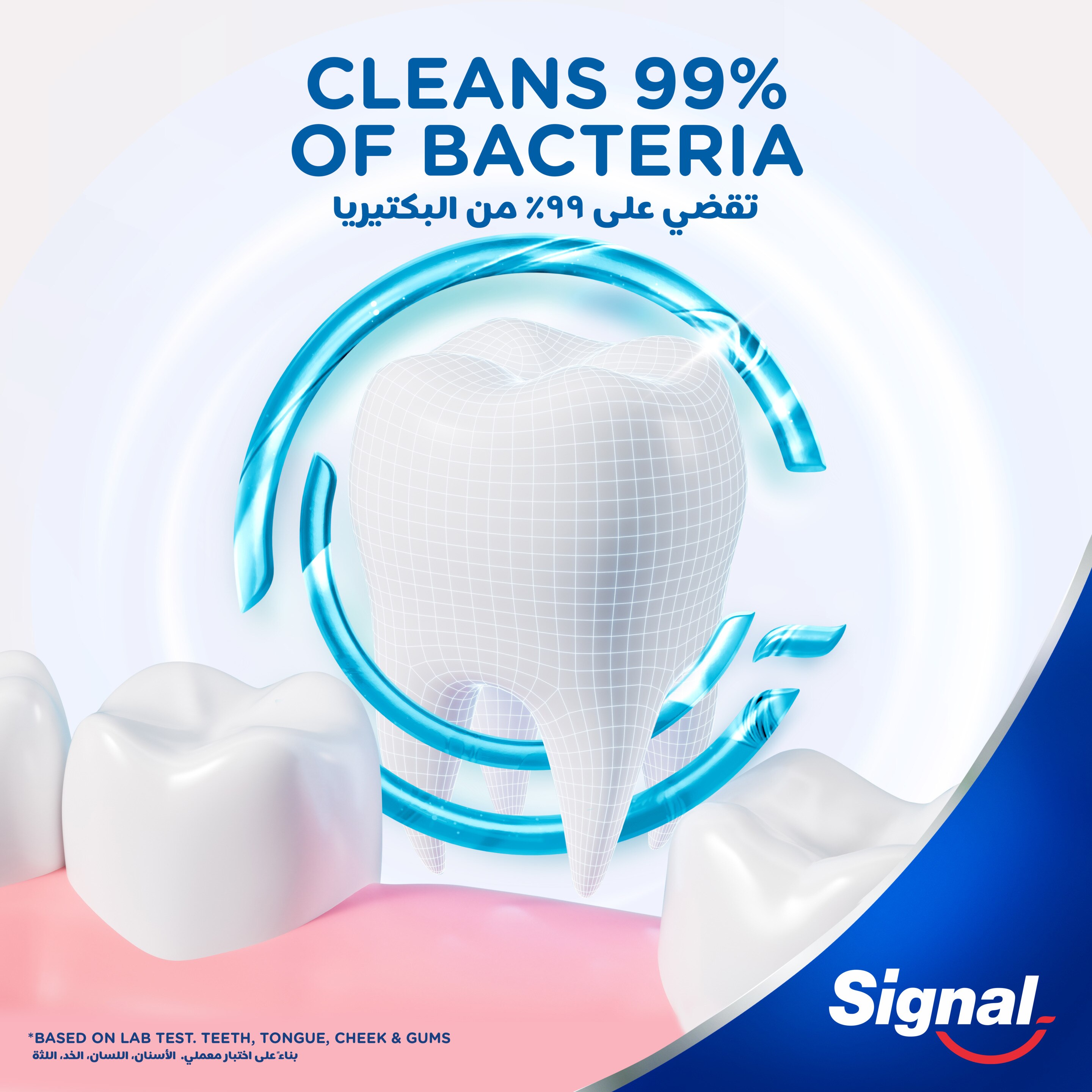 Product page