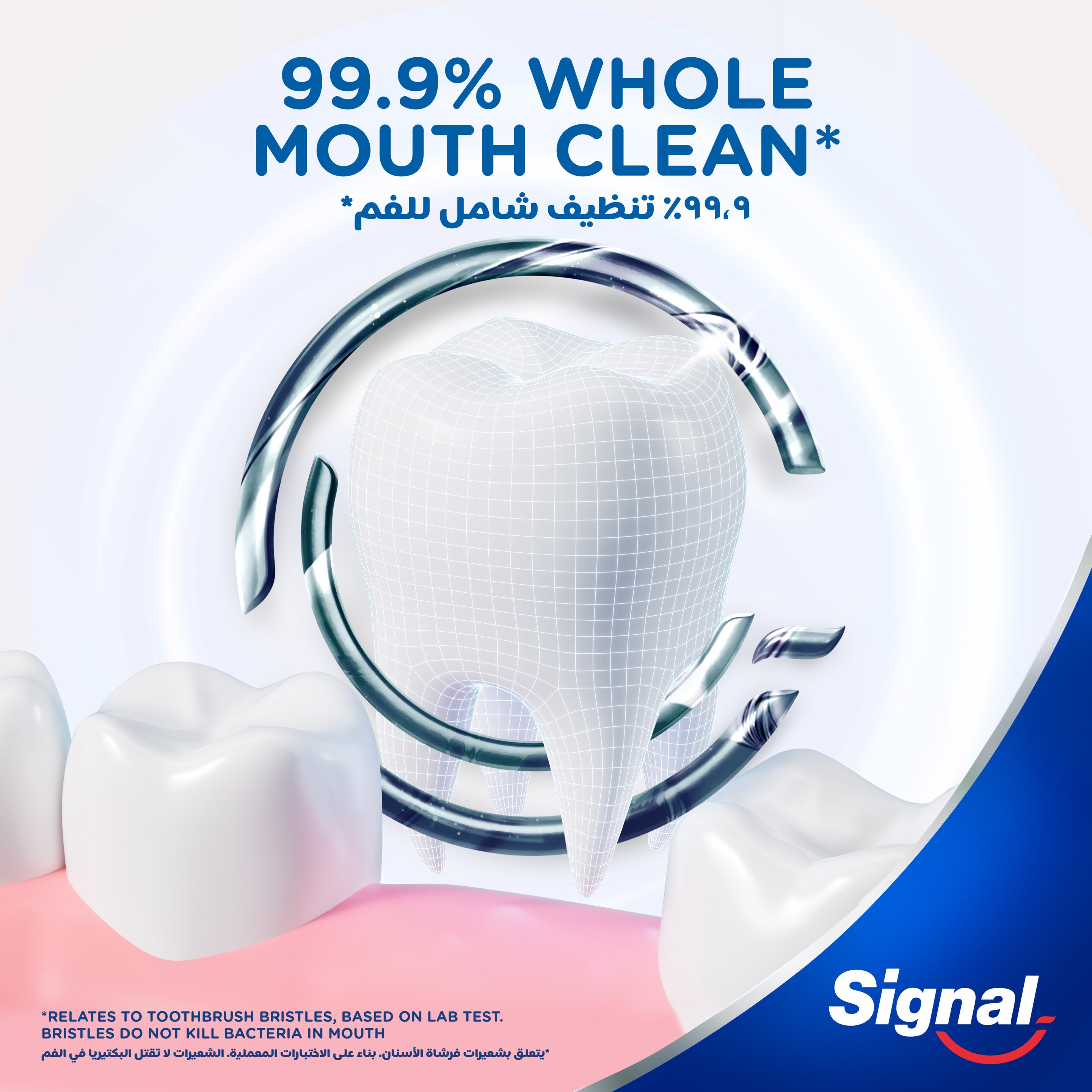 Product page