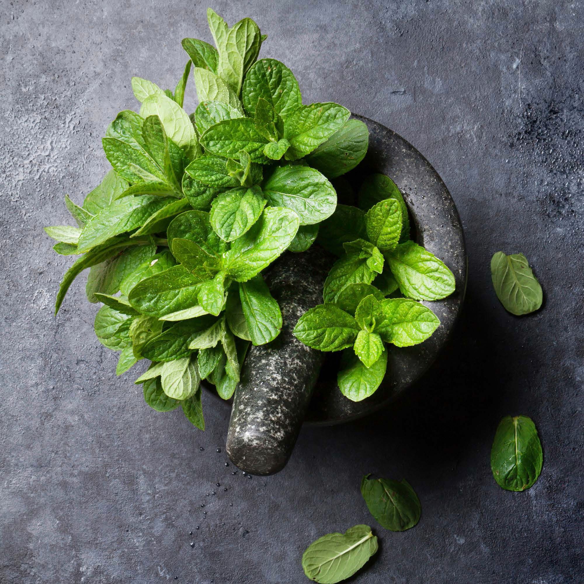 Mint leaves in mortar