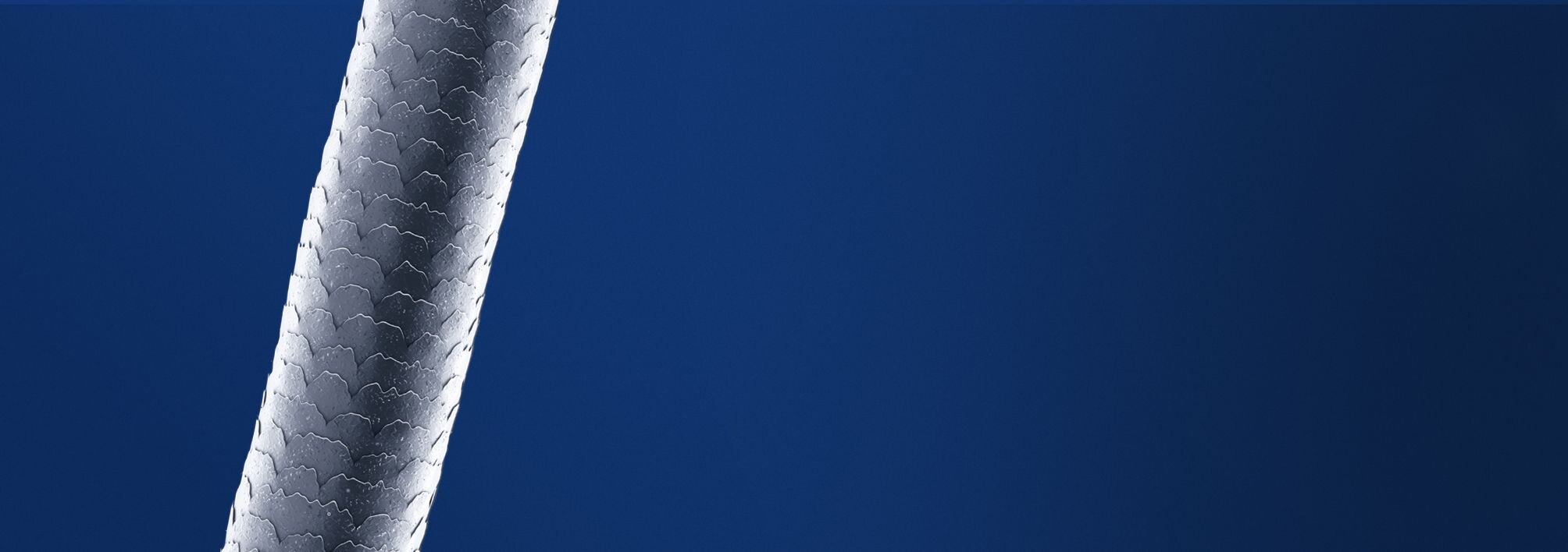 An enlarged, black and white image of a strand of hair is shown with healthy, smooth cuticles.