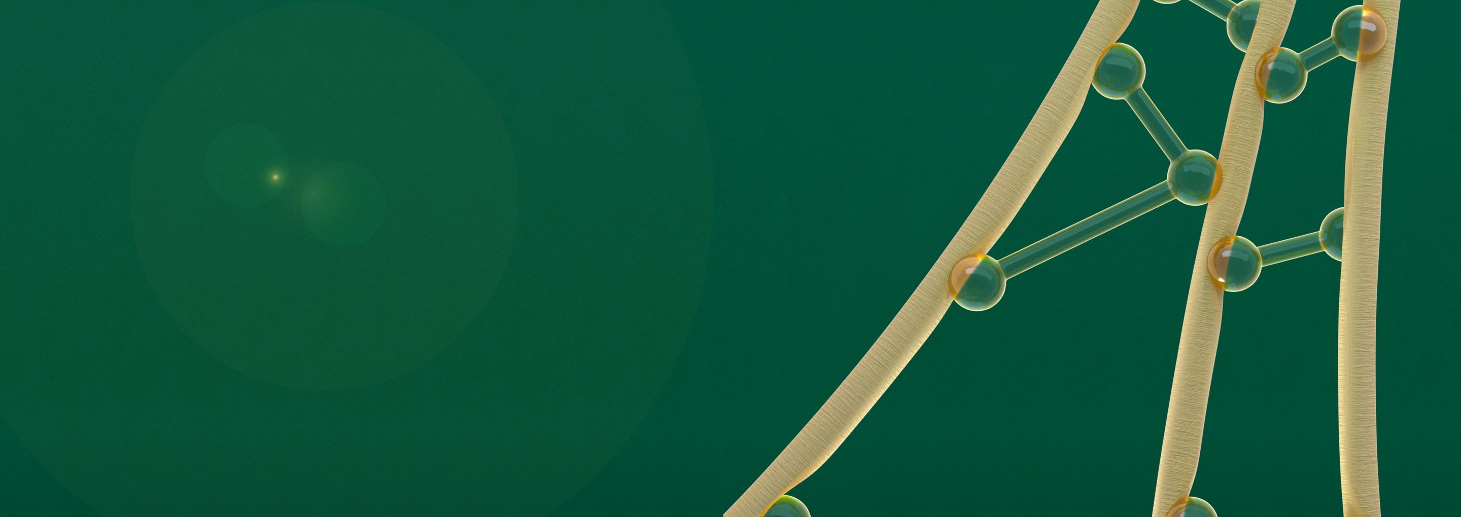 Close-up of untreated hair fiber on the left, close-up of treated hair fiber on the right.