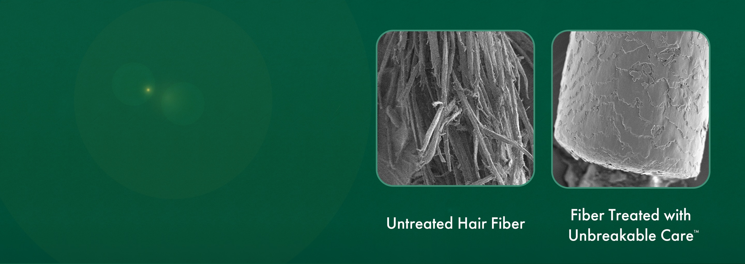 Close-up of untreated hair fiber on the left, close-up of treated hair fiber on the right.