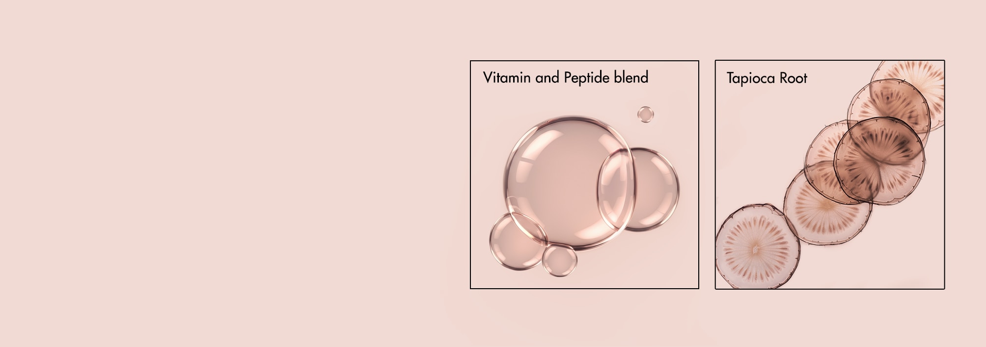 Microscopic images of tapioca root and a vitamin and peptide blend used in Nexxus lightweight dry shampoo, the best dry shampoo for oily thin hair.