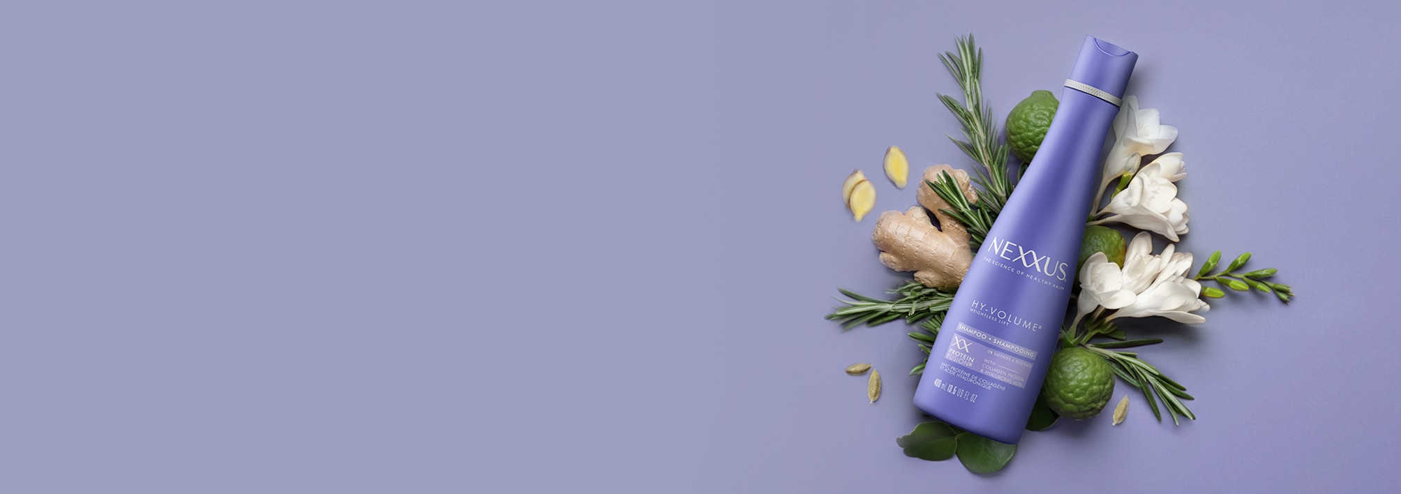 Nexxus Hy-Volume volumizing shampoo, a shampoo for fuller hair, surrounded by ginger, rosemary and bergamot.