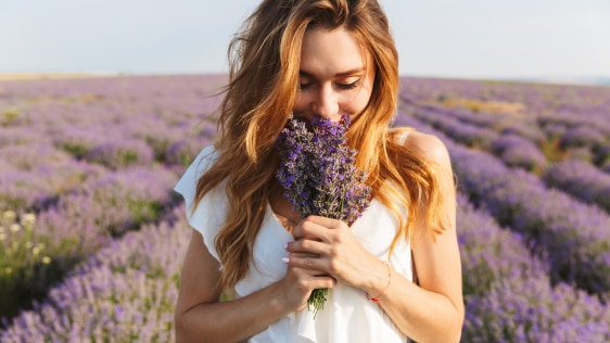 Young woman holding a bunch of lavender used for sustainable eco-friendly beauty products 