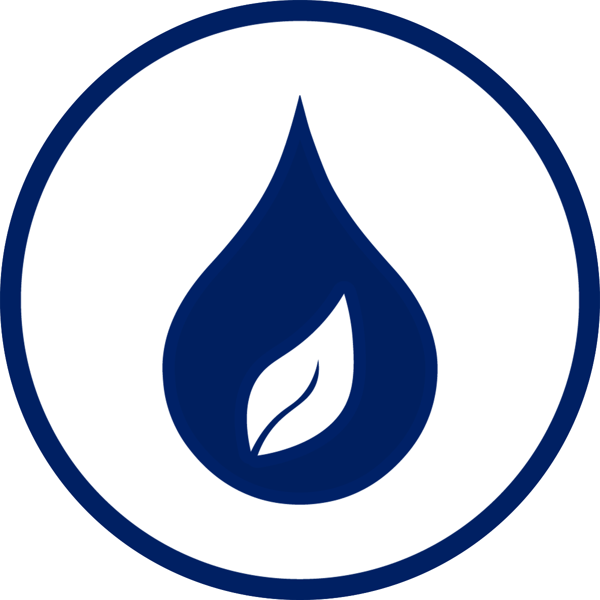 Limpiadores e hidratantes a base de plantas