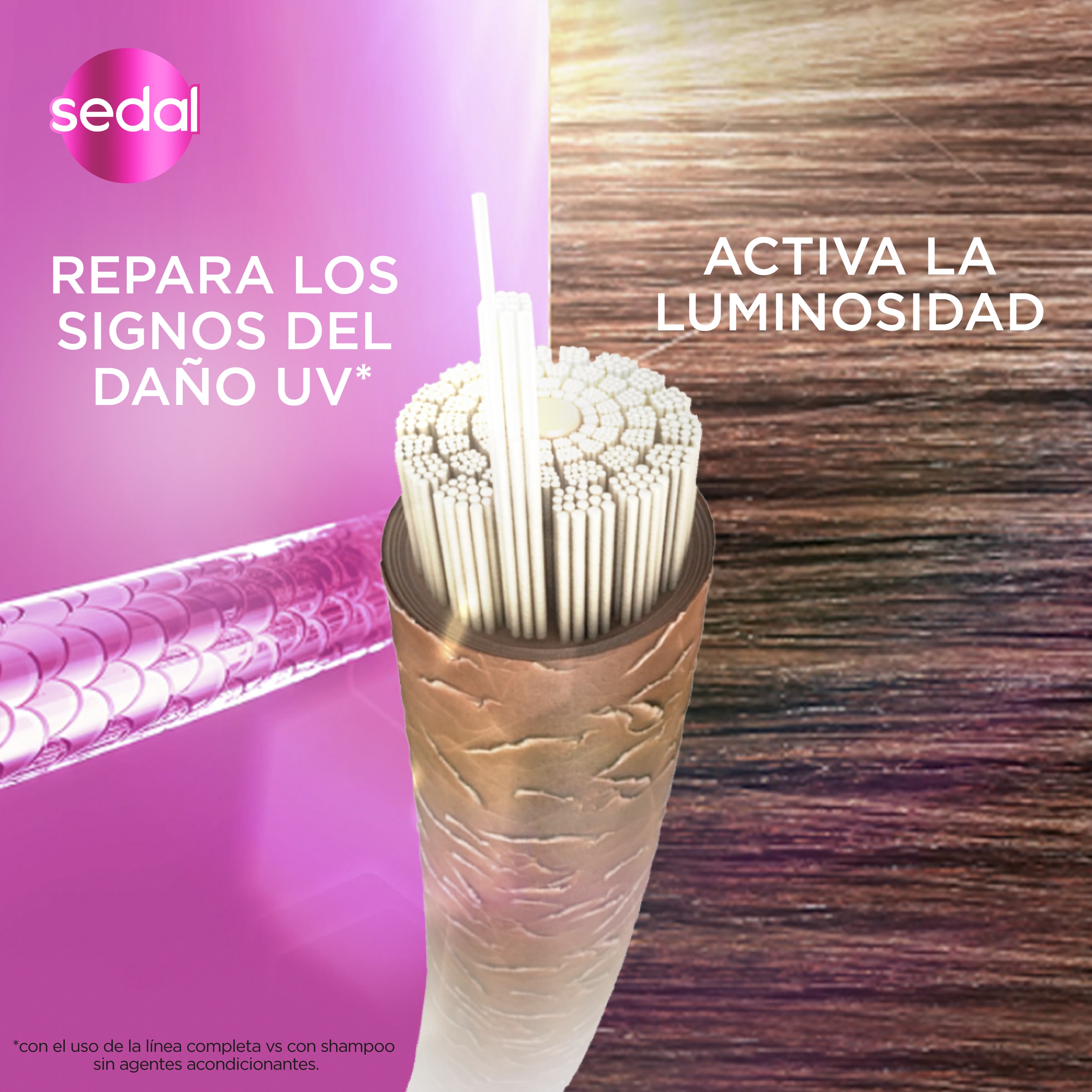 Sedal Acondicionador Glycol + Vita C