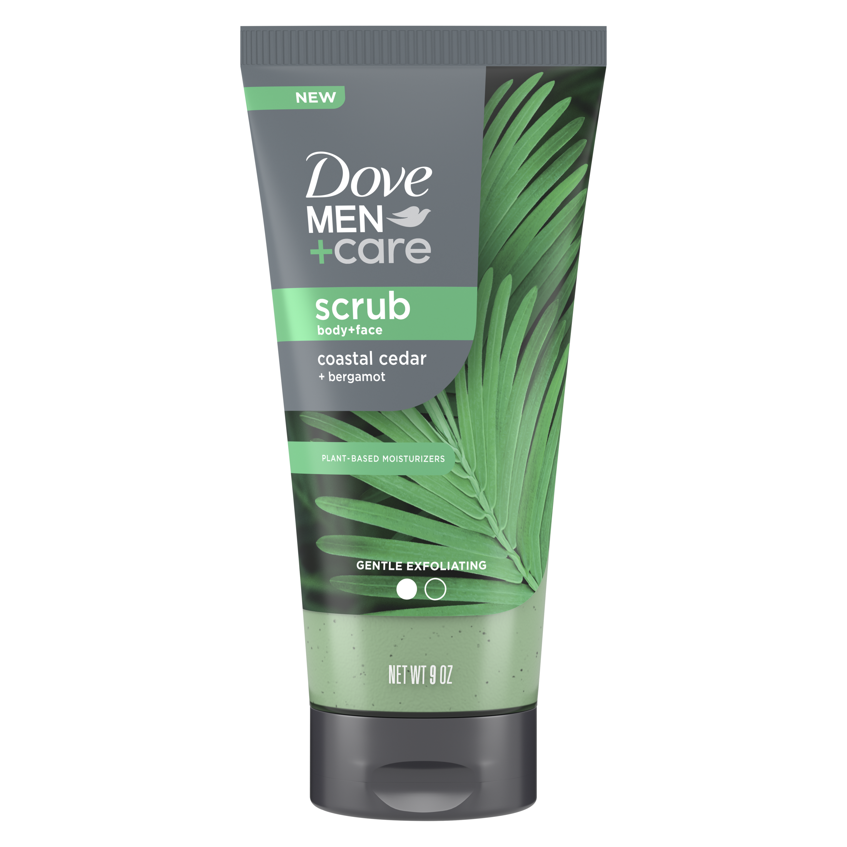 Men+Care Coastal Cedar + Bergamot Body Wash