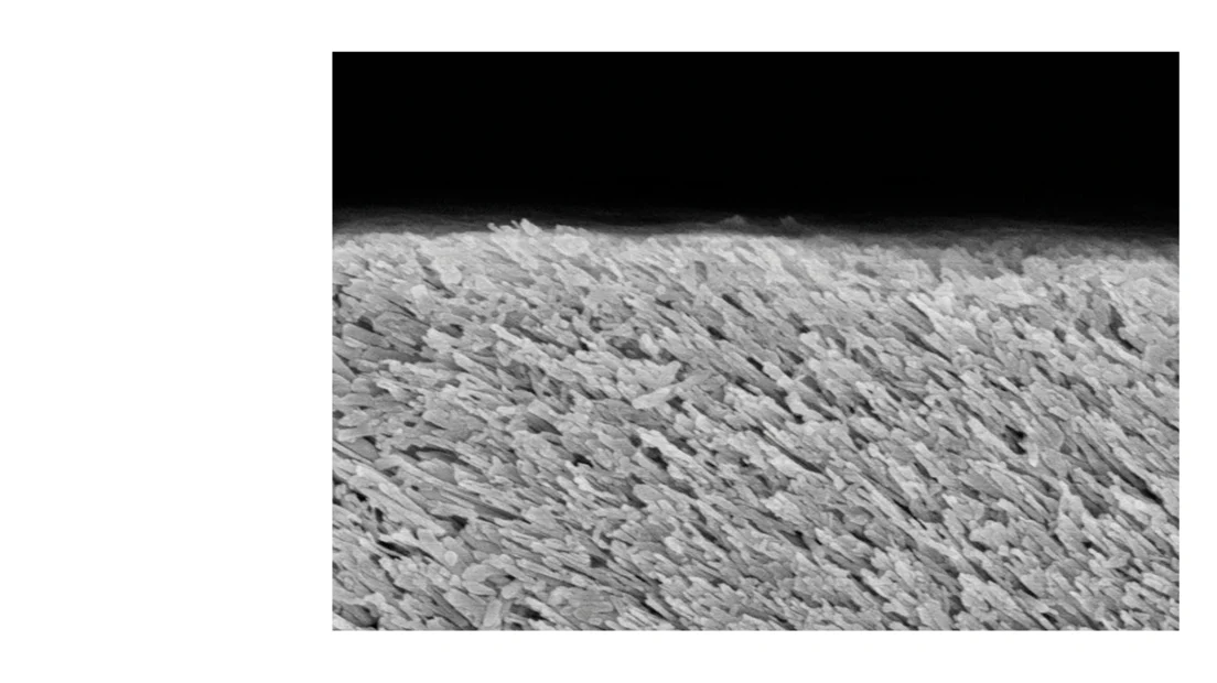 FLUORIDE-ONLY TOOTHPASTE