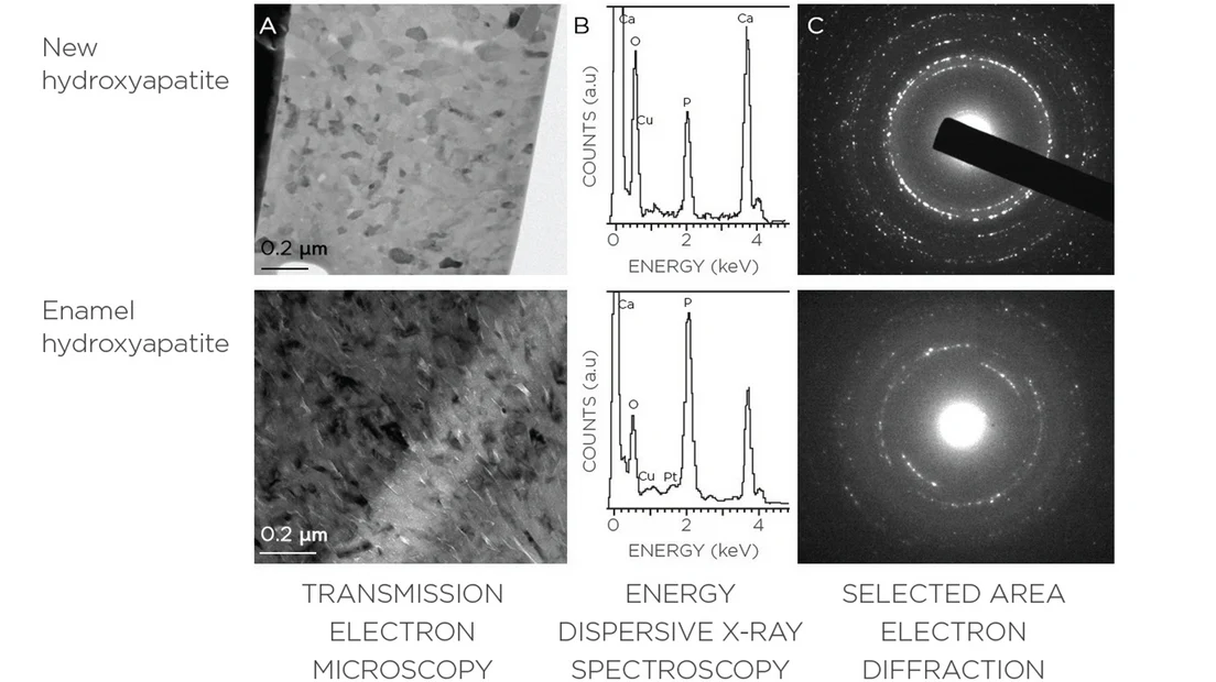 PROVEN IDENTICAL CRYSTAL STRUCTURE AND CHEMICAL COMPOSITION TO ENAMEL