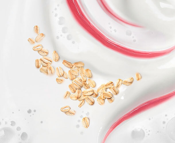 Plant milk blends